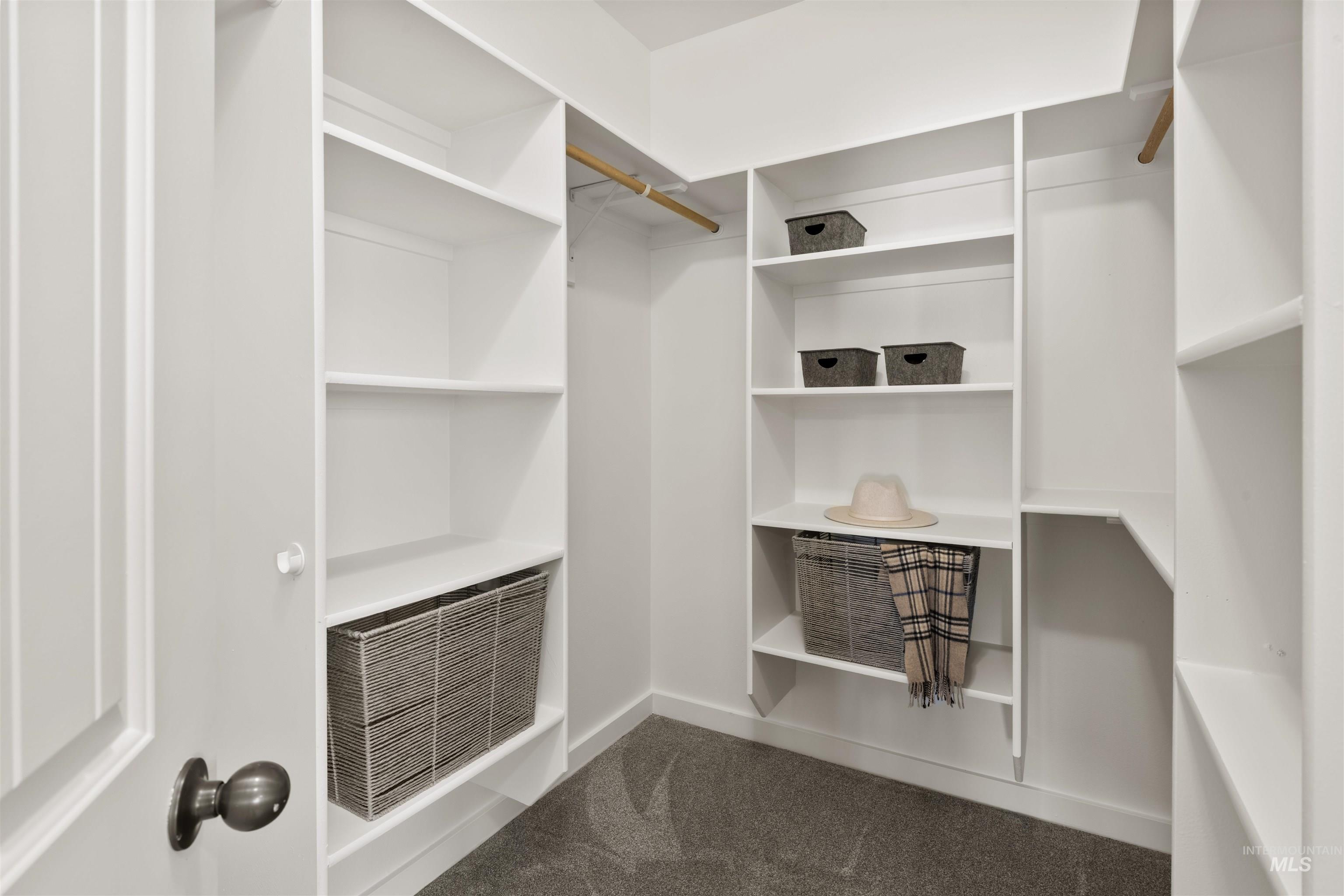 Walk in closet with carpet flooring