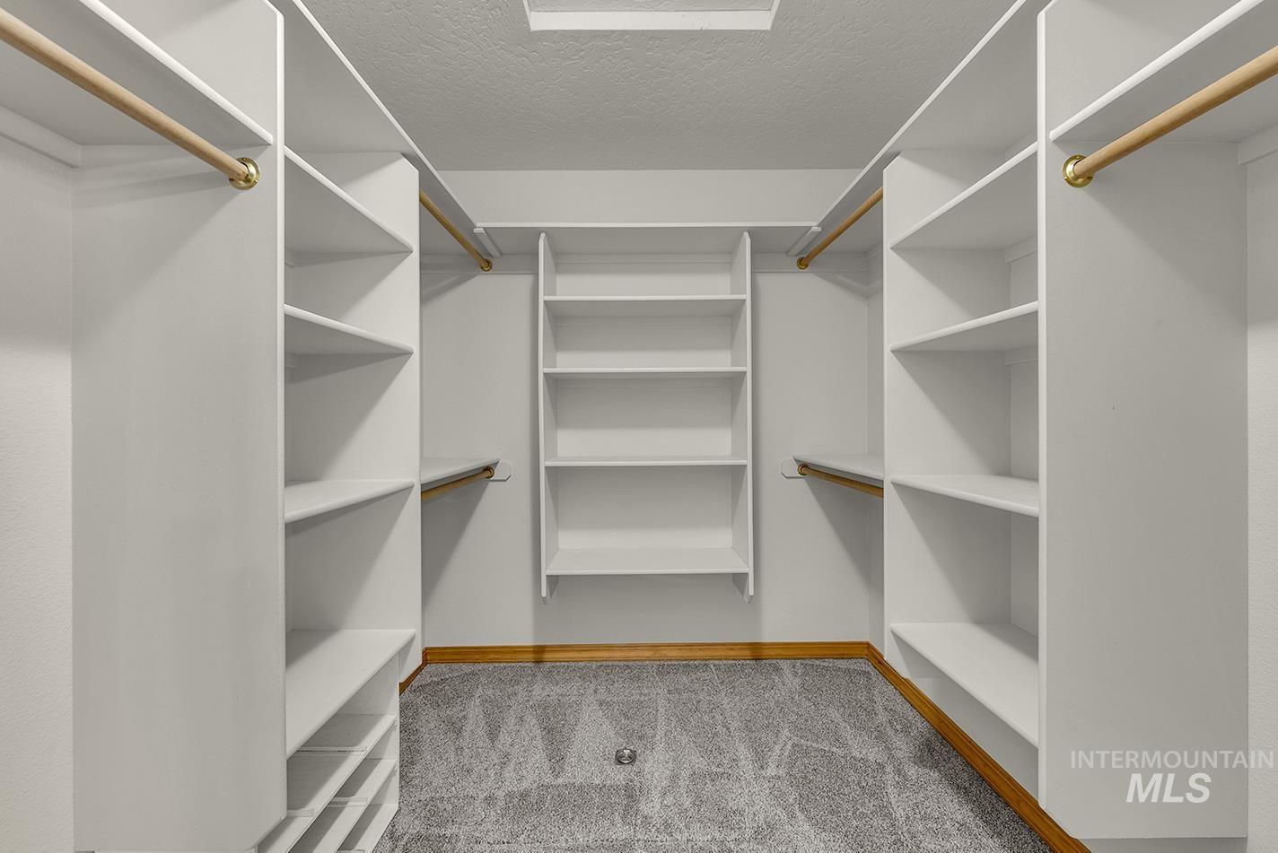 Walk in closet with light colored carpet