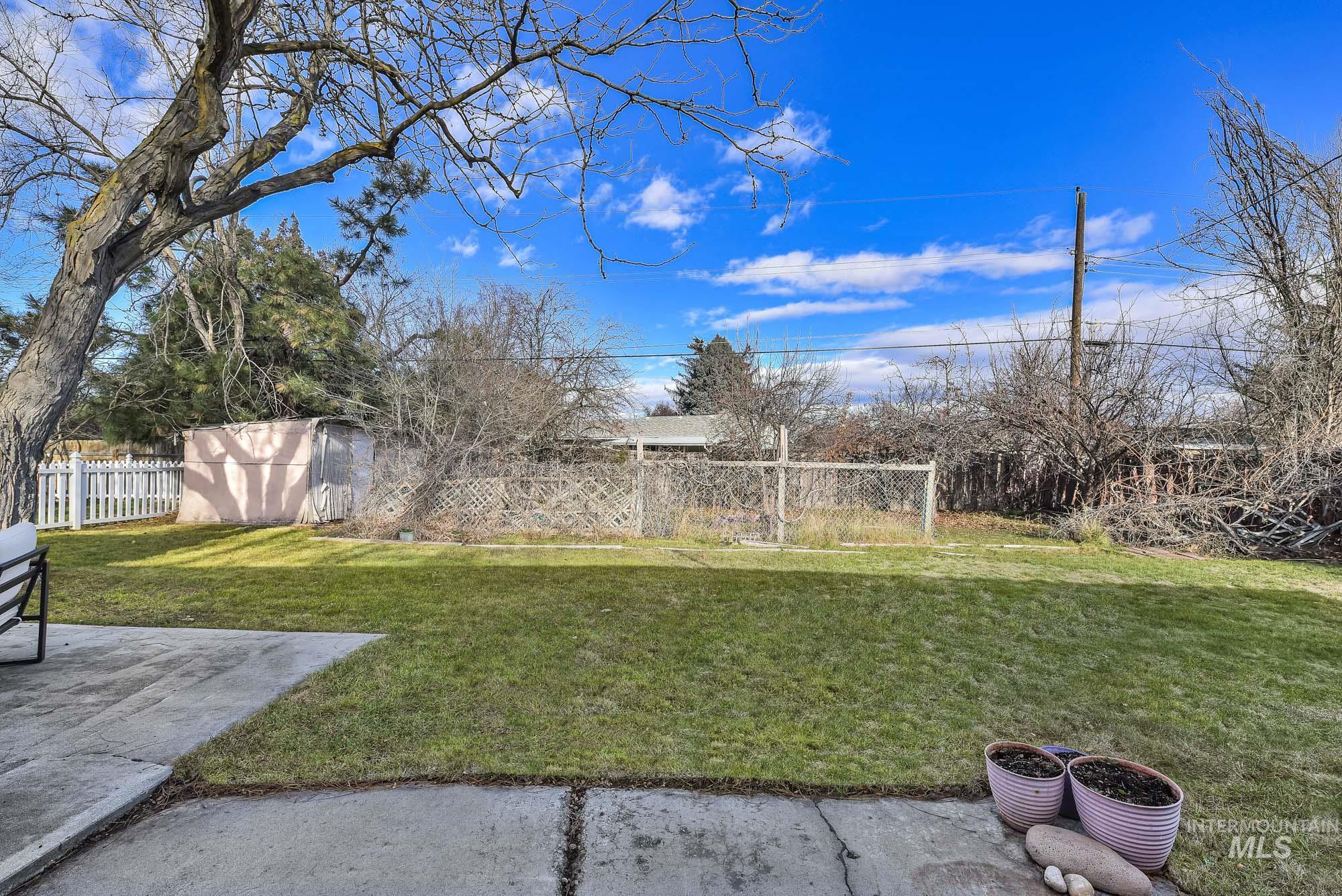View of yard featuring a patio area and a storage unit
