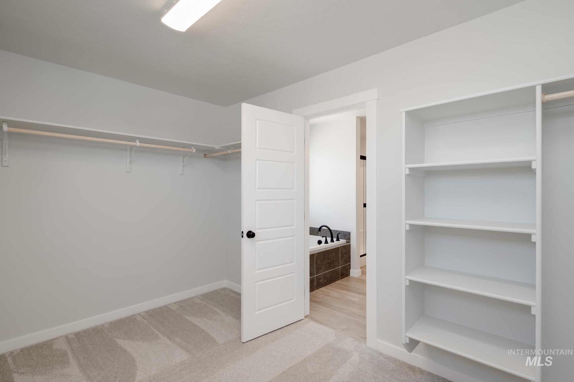 Spacious closet featuring light carpet