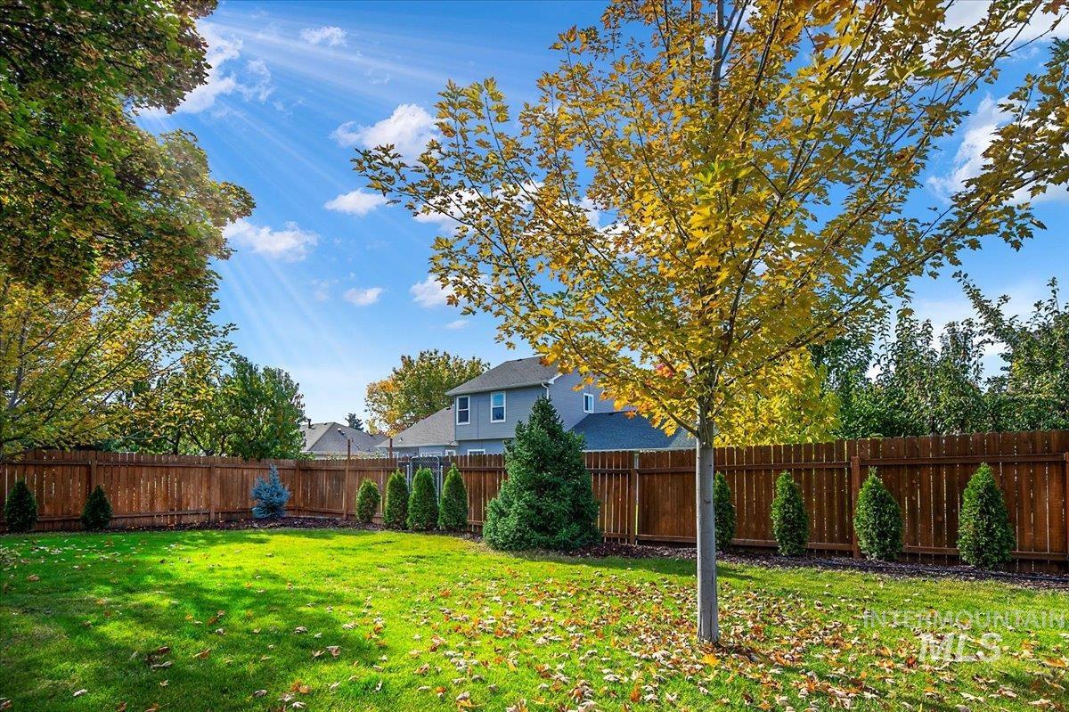View of fenced backyard