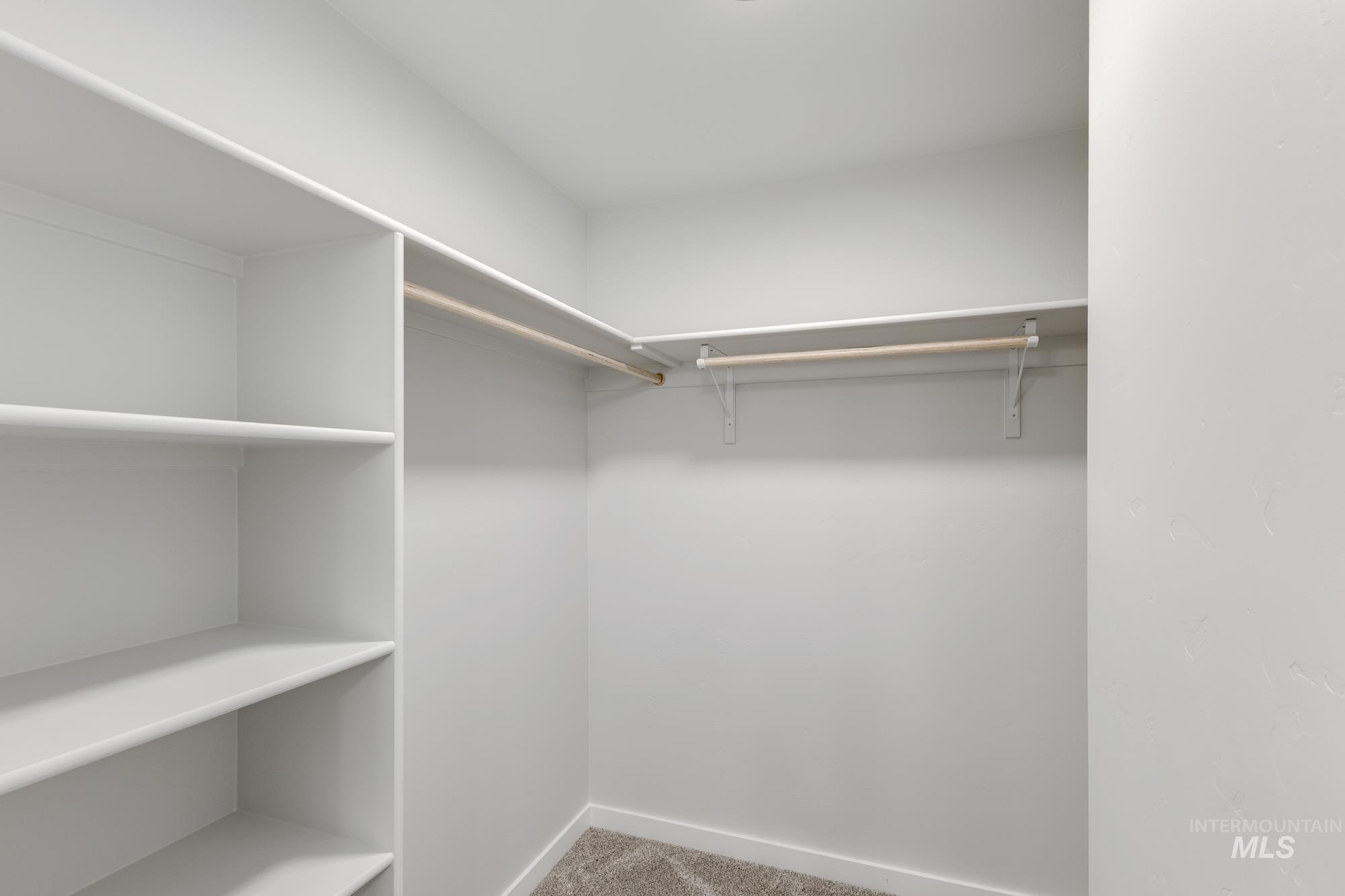 Spacious closet with carpet flooring