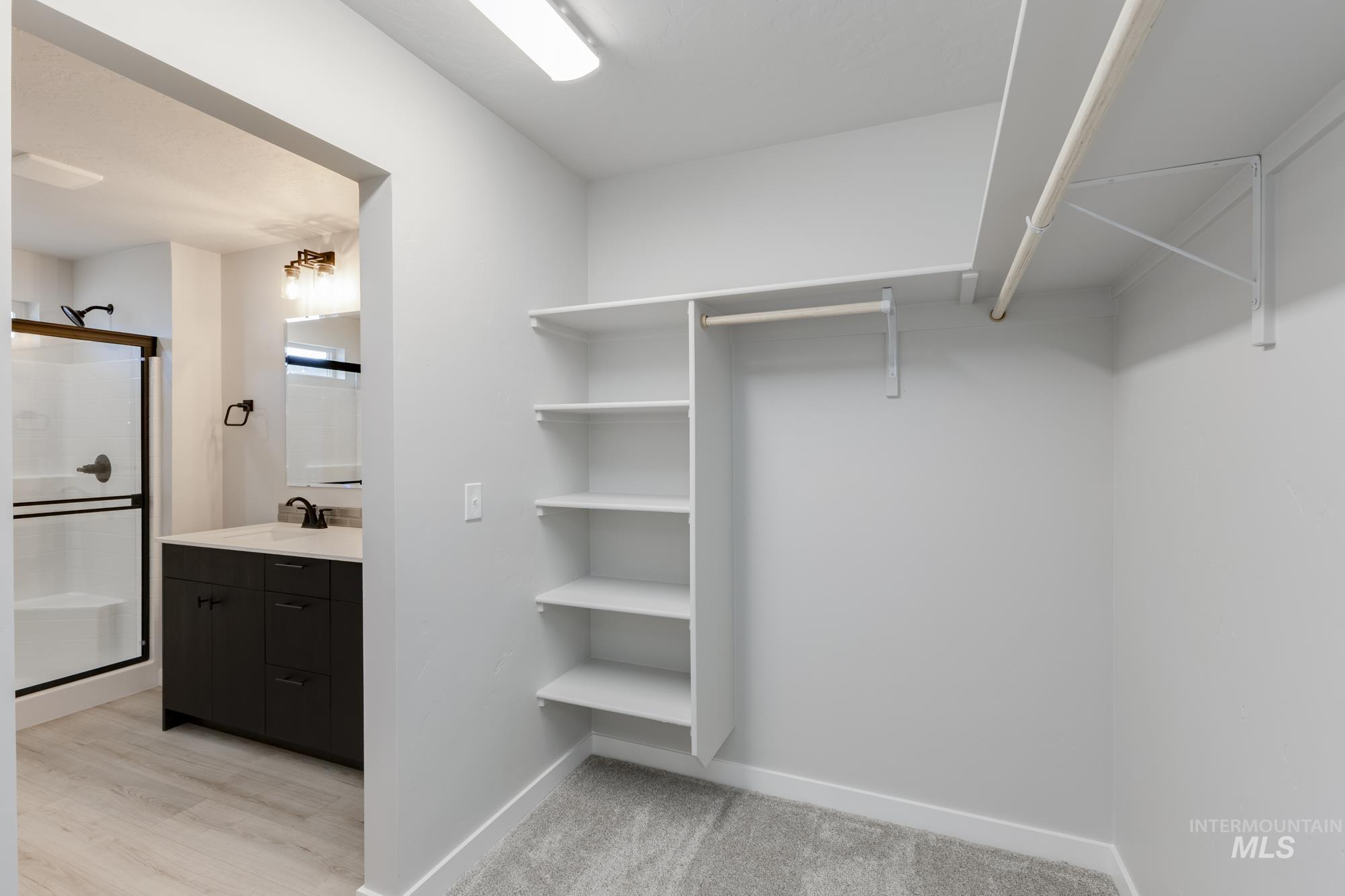 Spacious closet featuring a sink and light carpet