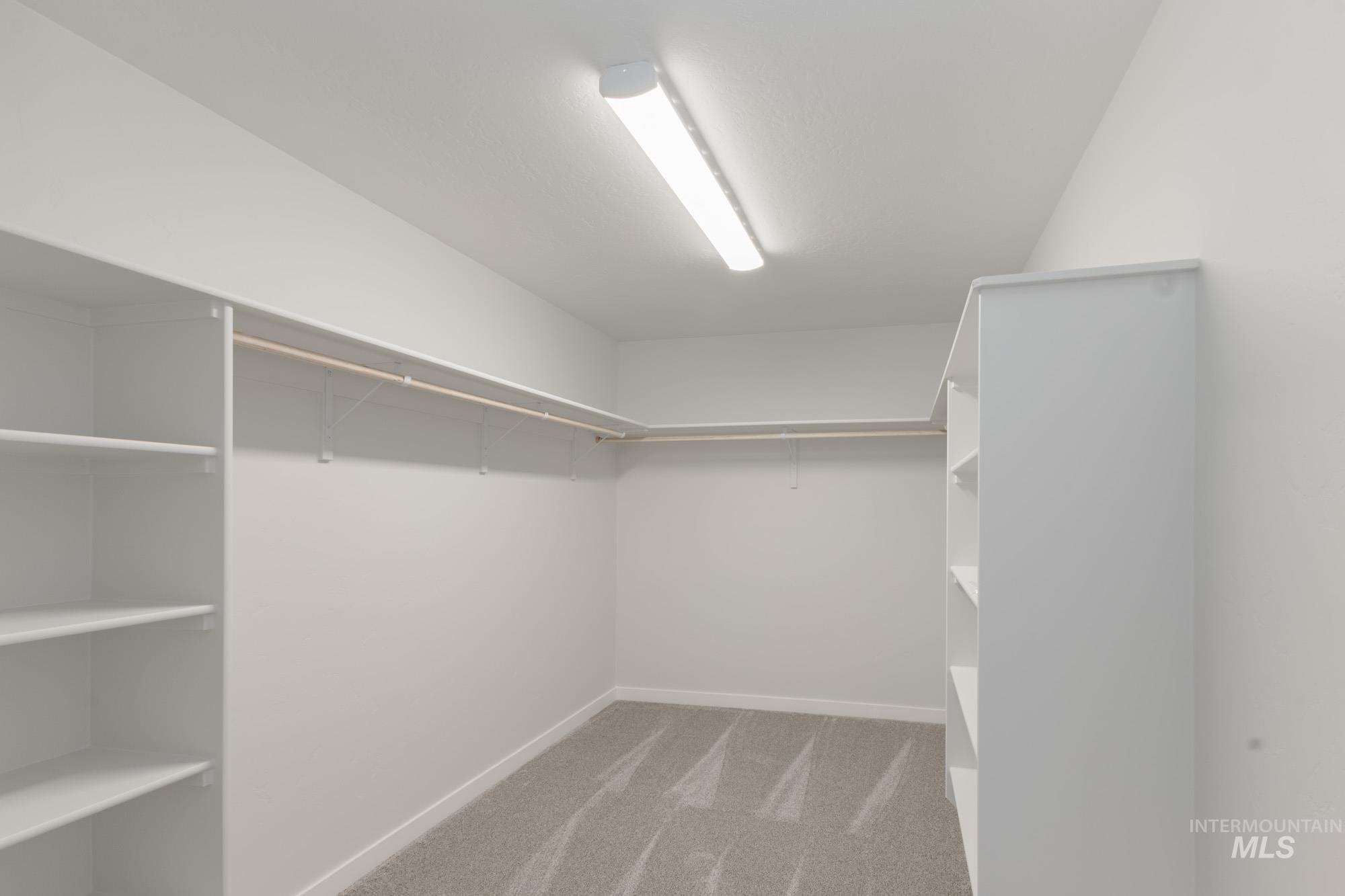Spacious closet with light carpet