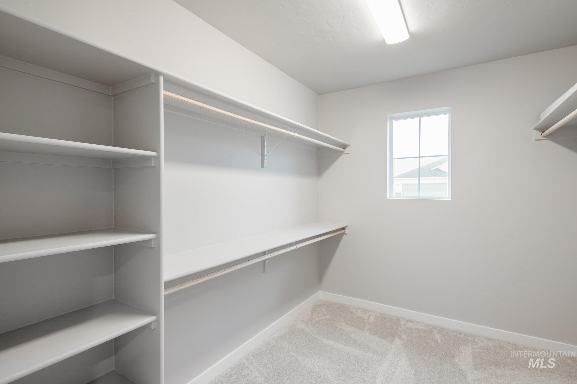 Spacious closet with light carpet