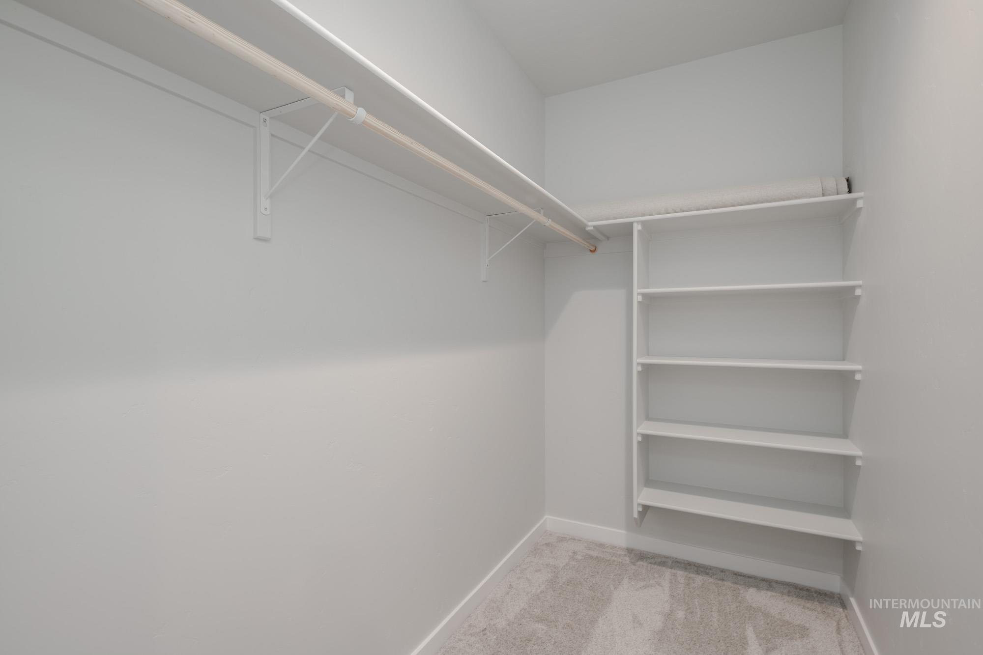 Walk in closet with light colored carpet