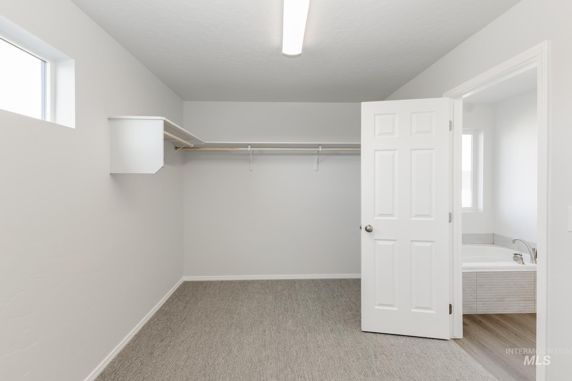 Walk in closet with light carpet