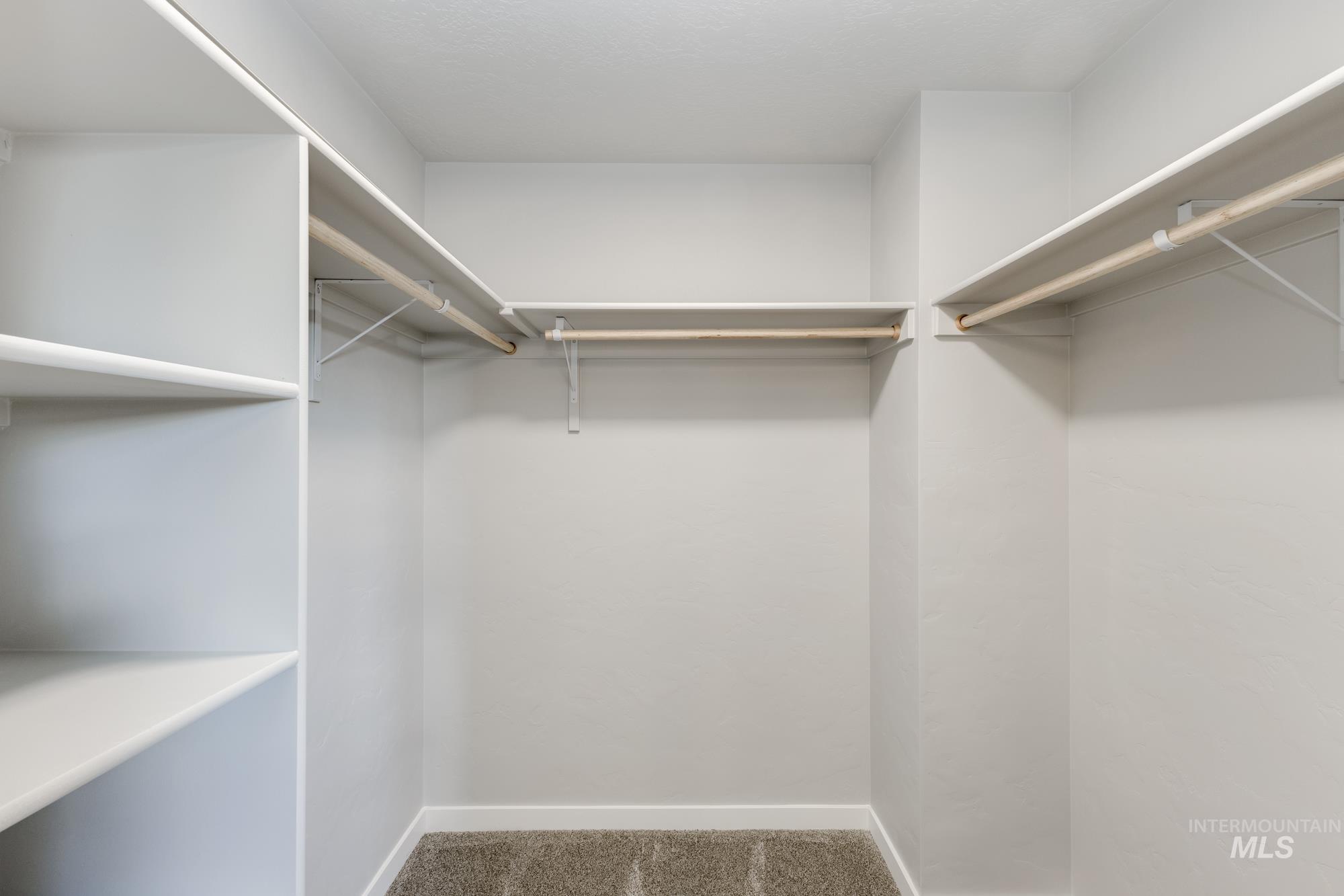 Spacious closet with carpet
