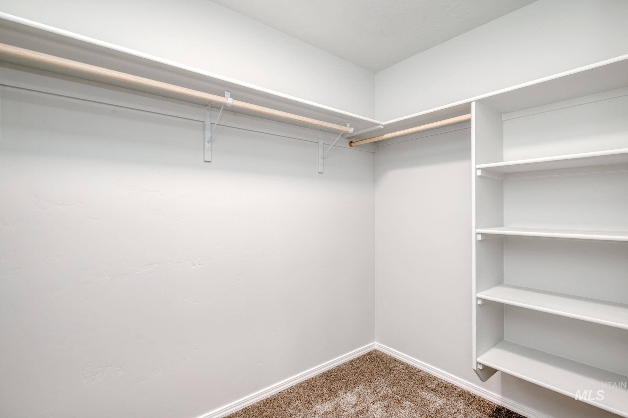 Walk in closet with light colored carpet