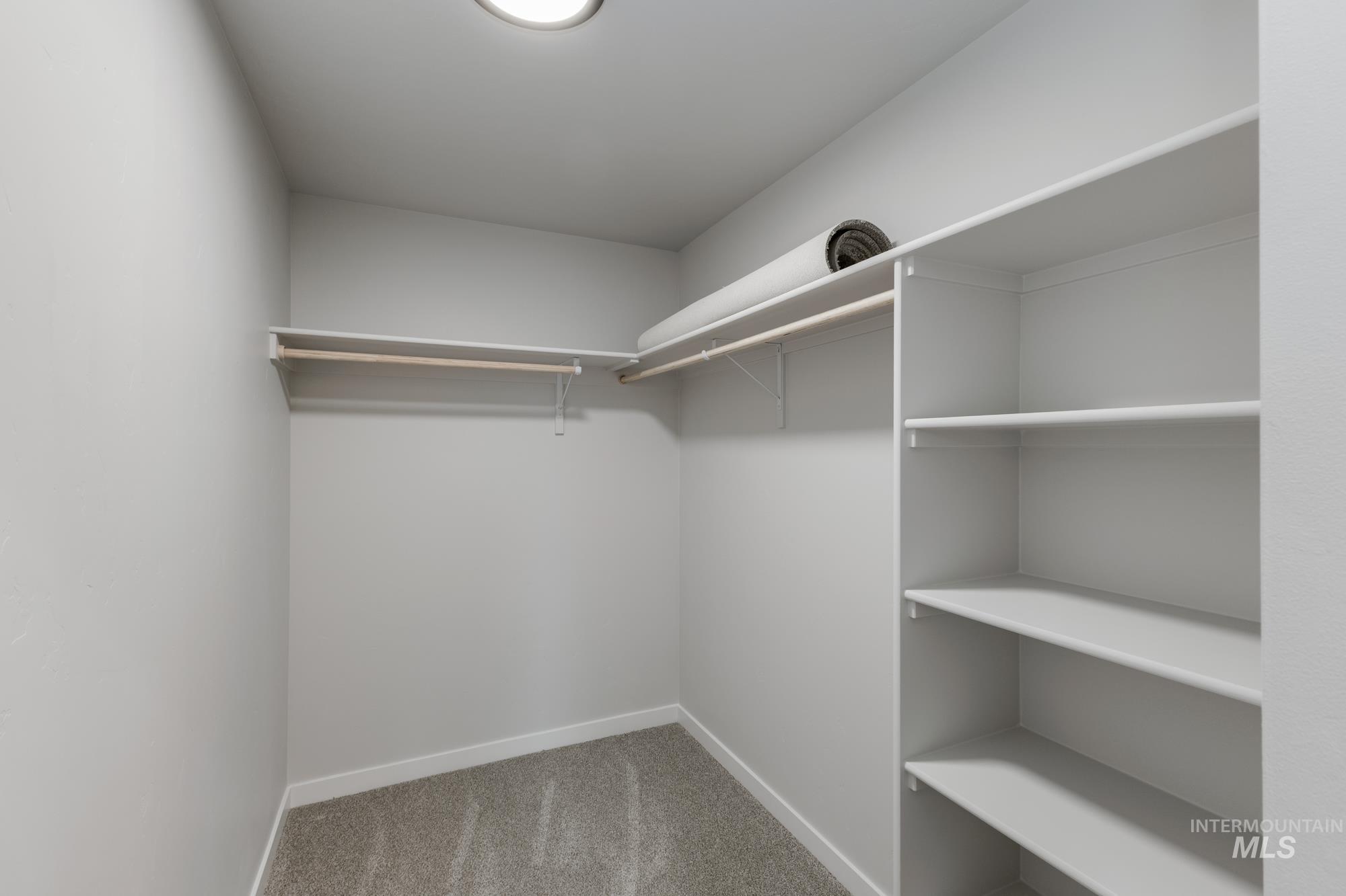 Spacious closet featuring light carpet