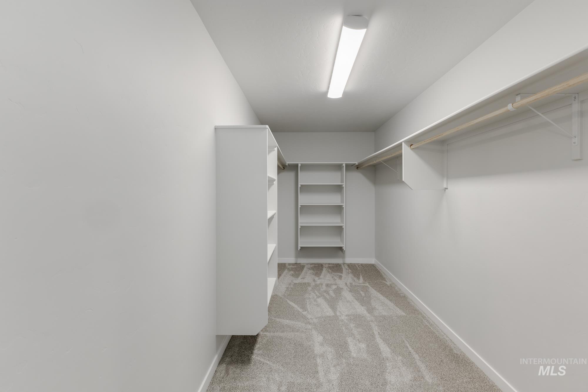 Spacious closet featuring light carpet