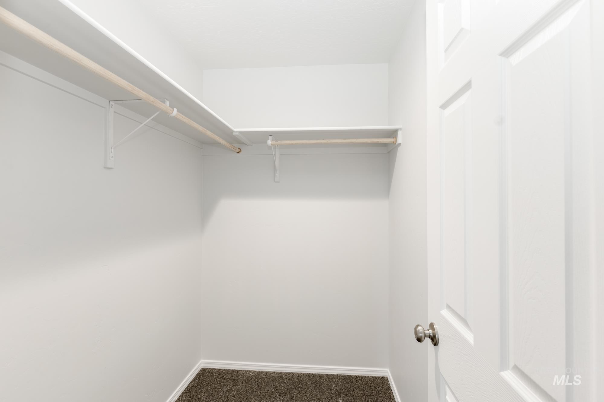 Spacious closet featuring dark carpet