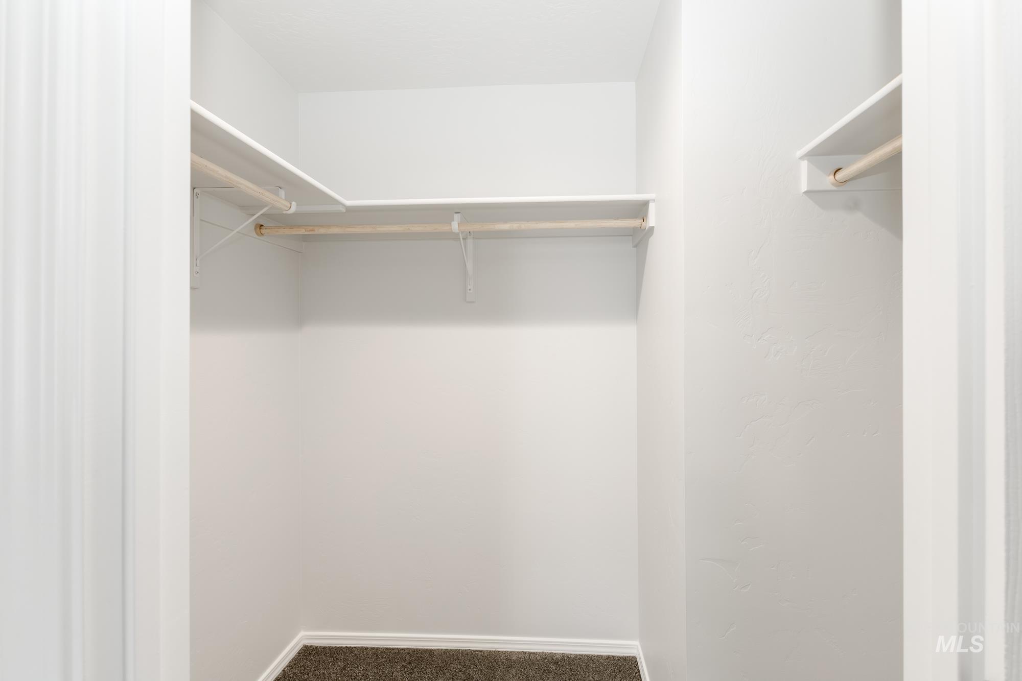 Spacious closet featuring carpet floors