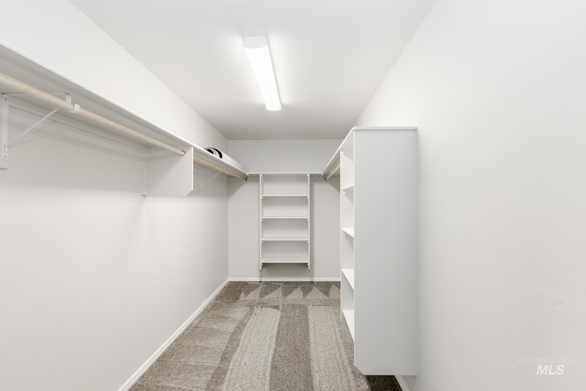 Spacious closet with light carpet