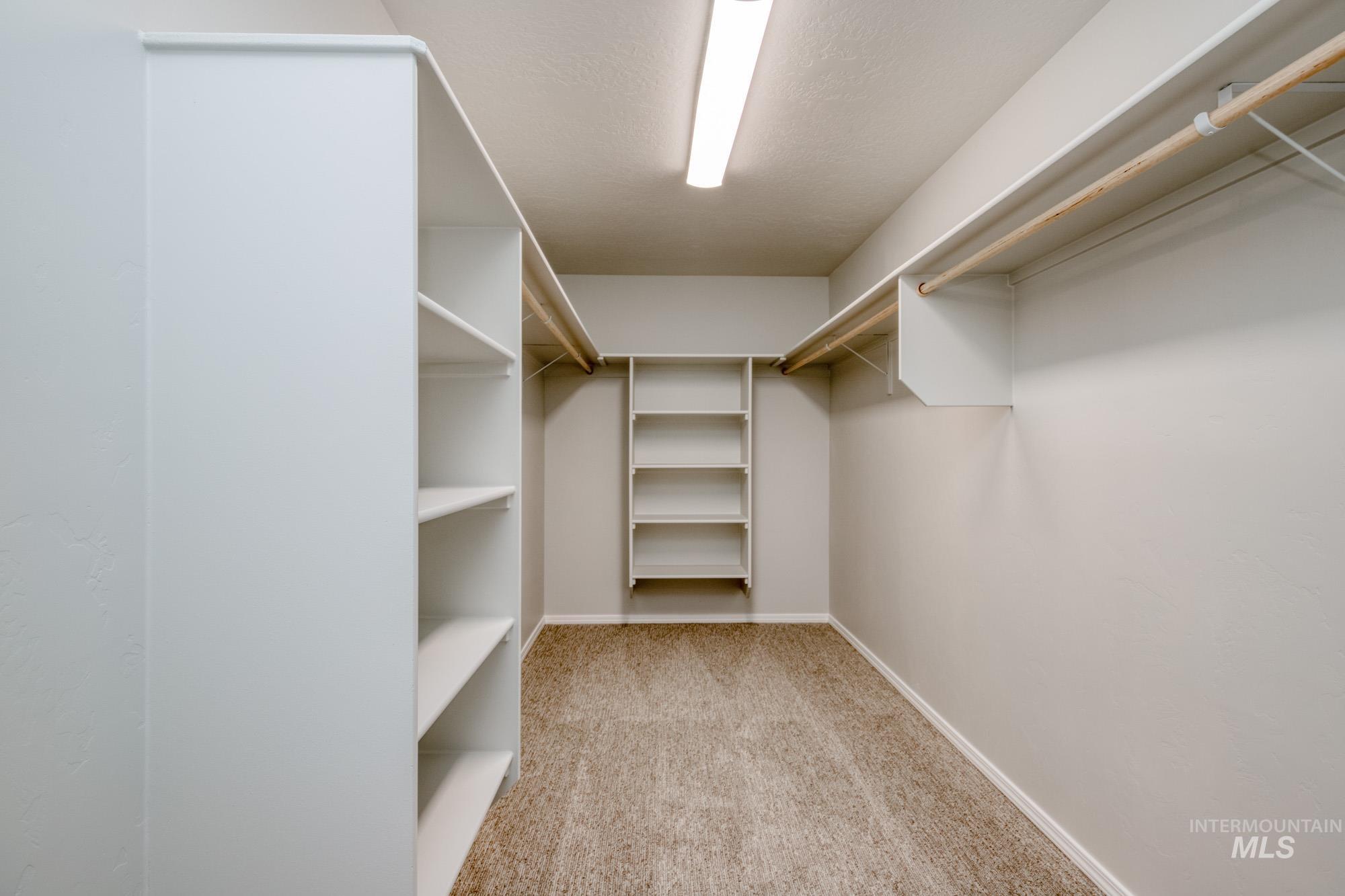 Spacious closet featuring light carpet