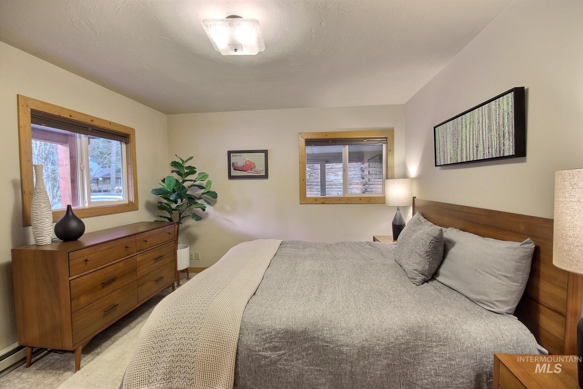 Bedroom featuring multiple windows, carpet, and a baseboard heating unit