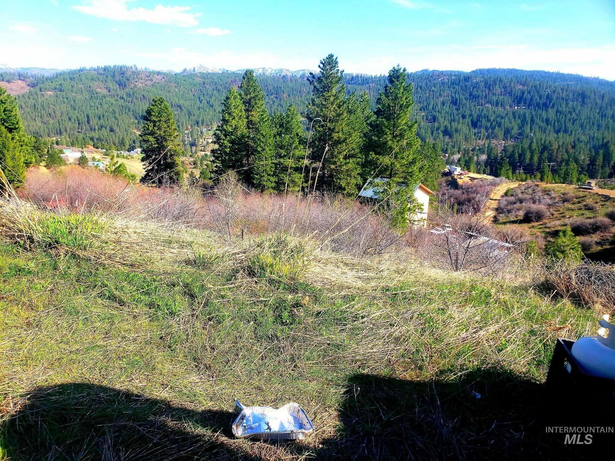 Mountain view with a forest