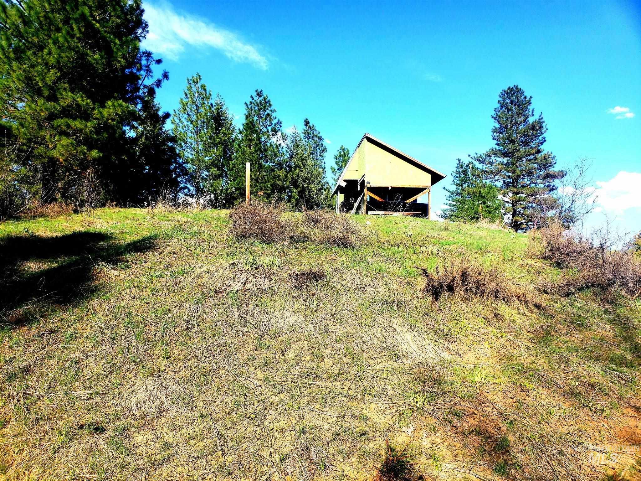 View of yard with an outbuilding