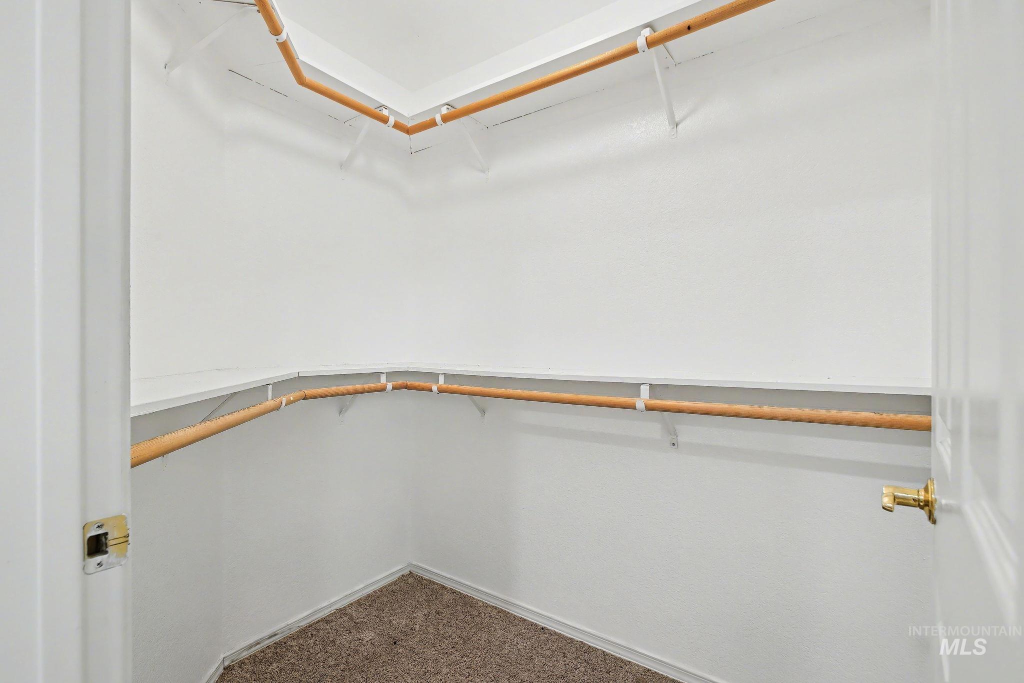 Spacious closet featuring dark carpet