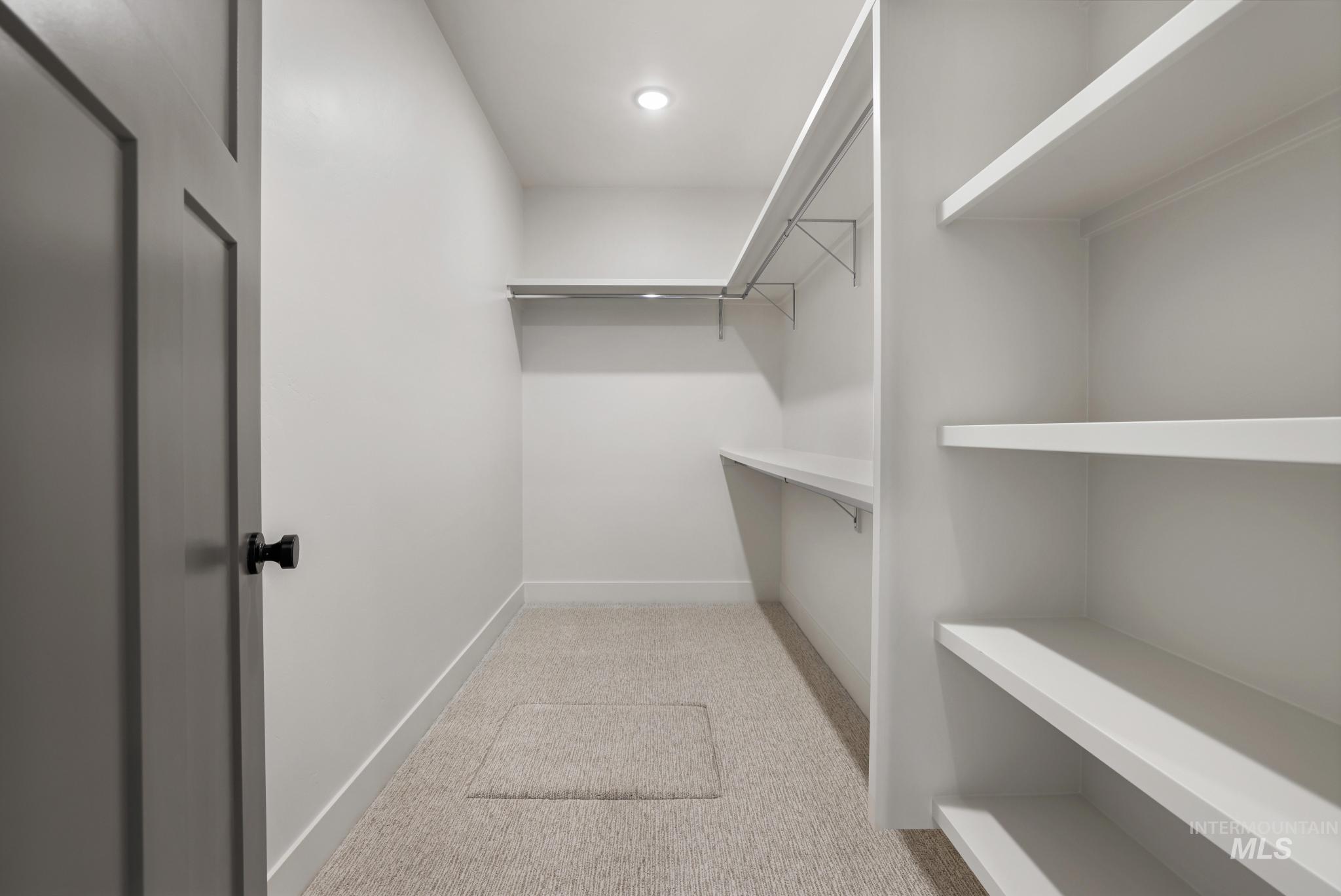 Spacious closet featuring light carpet