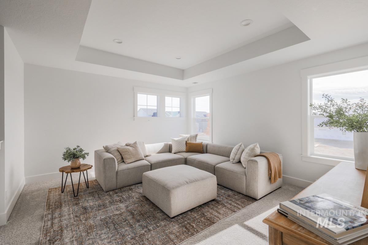Living room featuring a raised ceiling and carpet