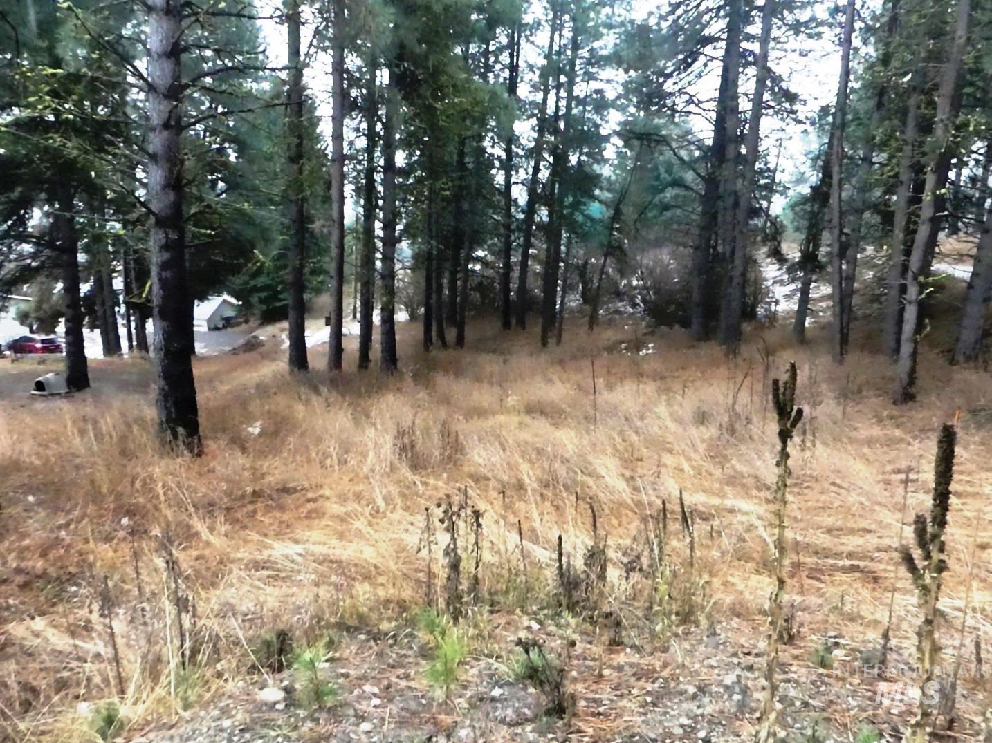 614 Crawford Ave, Cascade, Idaho 83611, Land For Sale, Price $139,000, 98970184