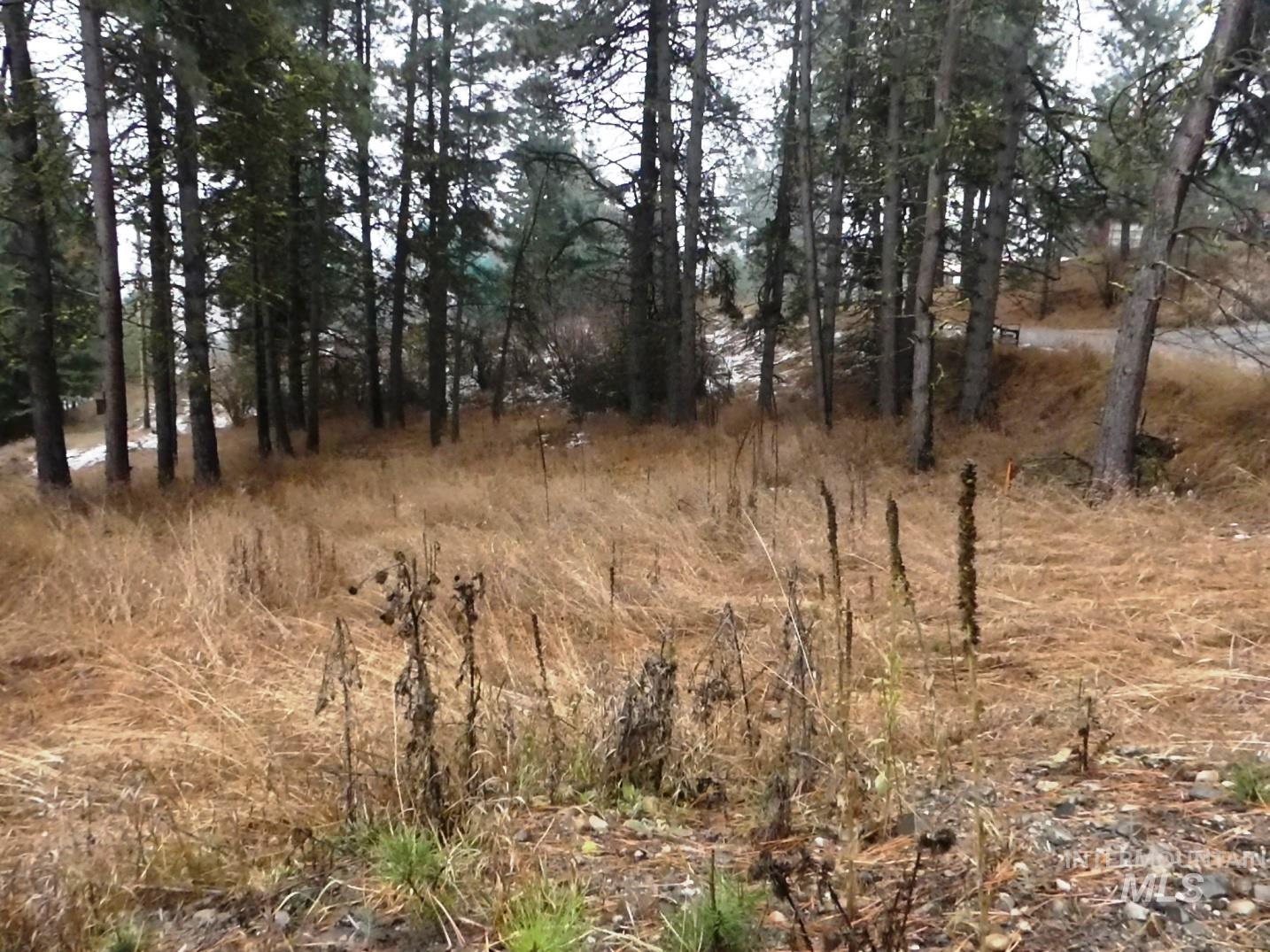 614 Crawford Ave, Cascade, Idaho 83611, Land For Sale, Price $139,000, 98970184