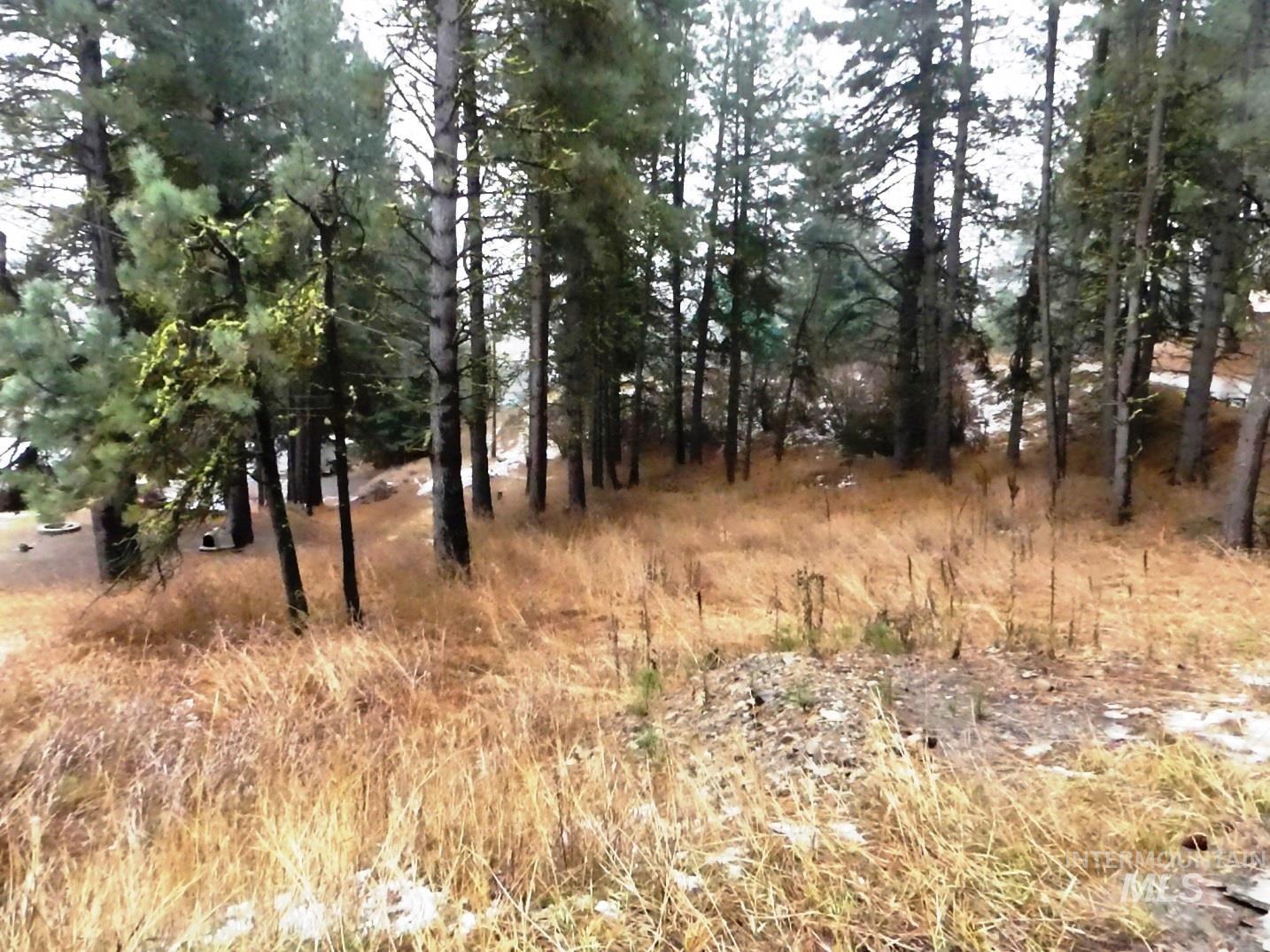 614 Crawford Ave, Cascade, Idaho 83611, Land For Sale, Price $139,000, 98970184