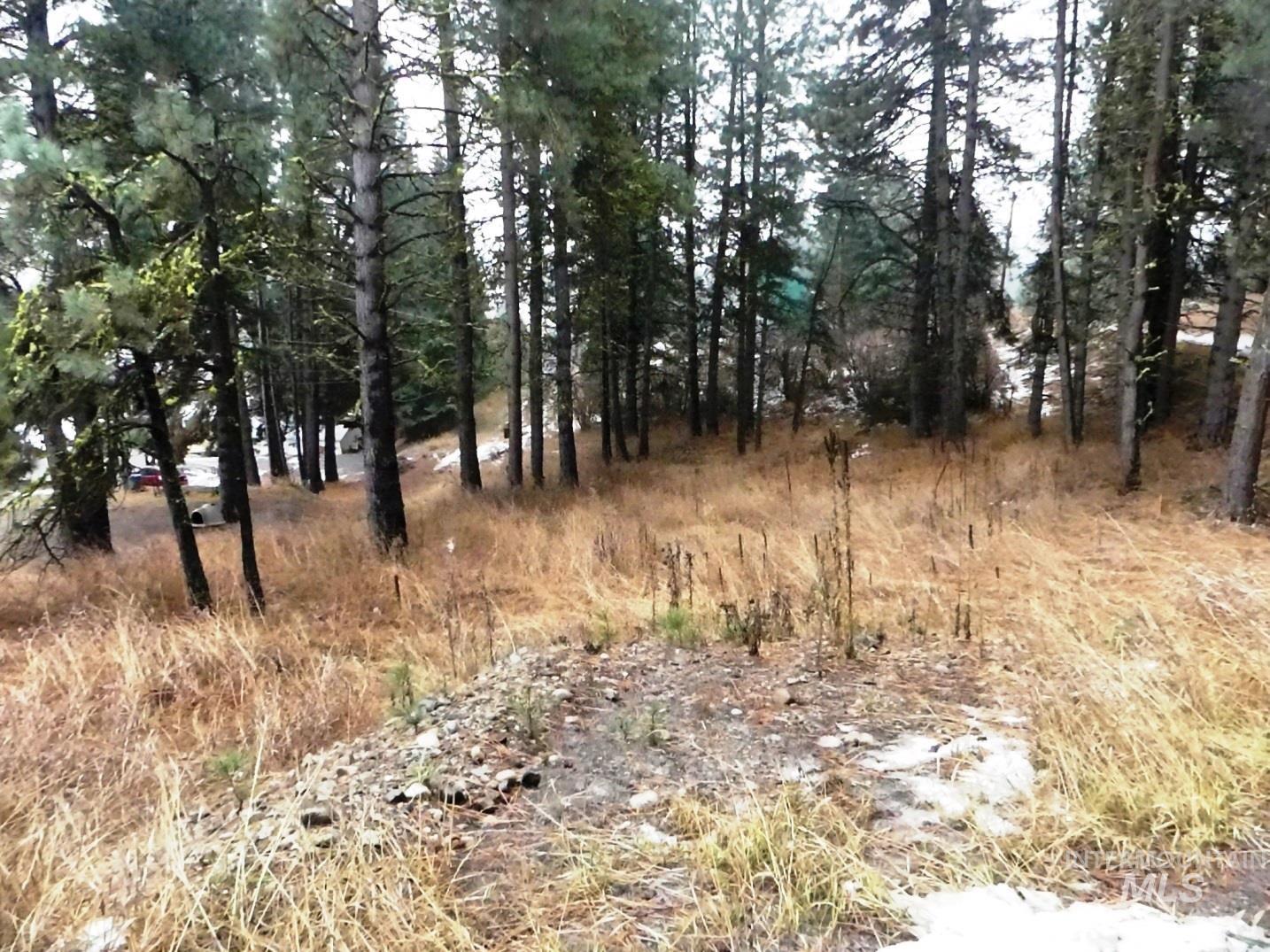 614 Crawford Ave, Cascade, Idaho 83611, Land For Sale, Price $139,000, 98970184