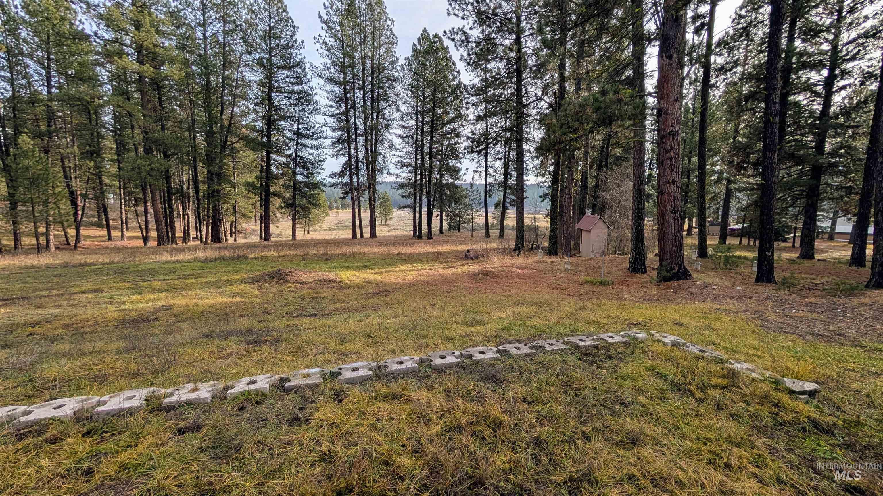 View of grassy yard featuring an outbuilding