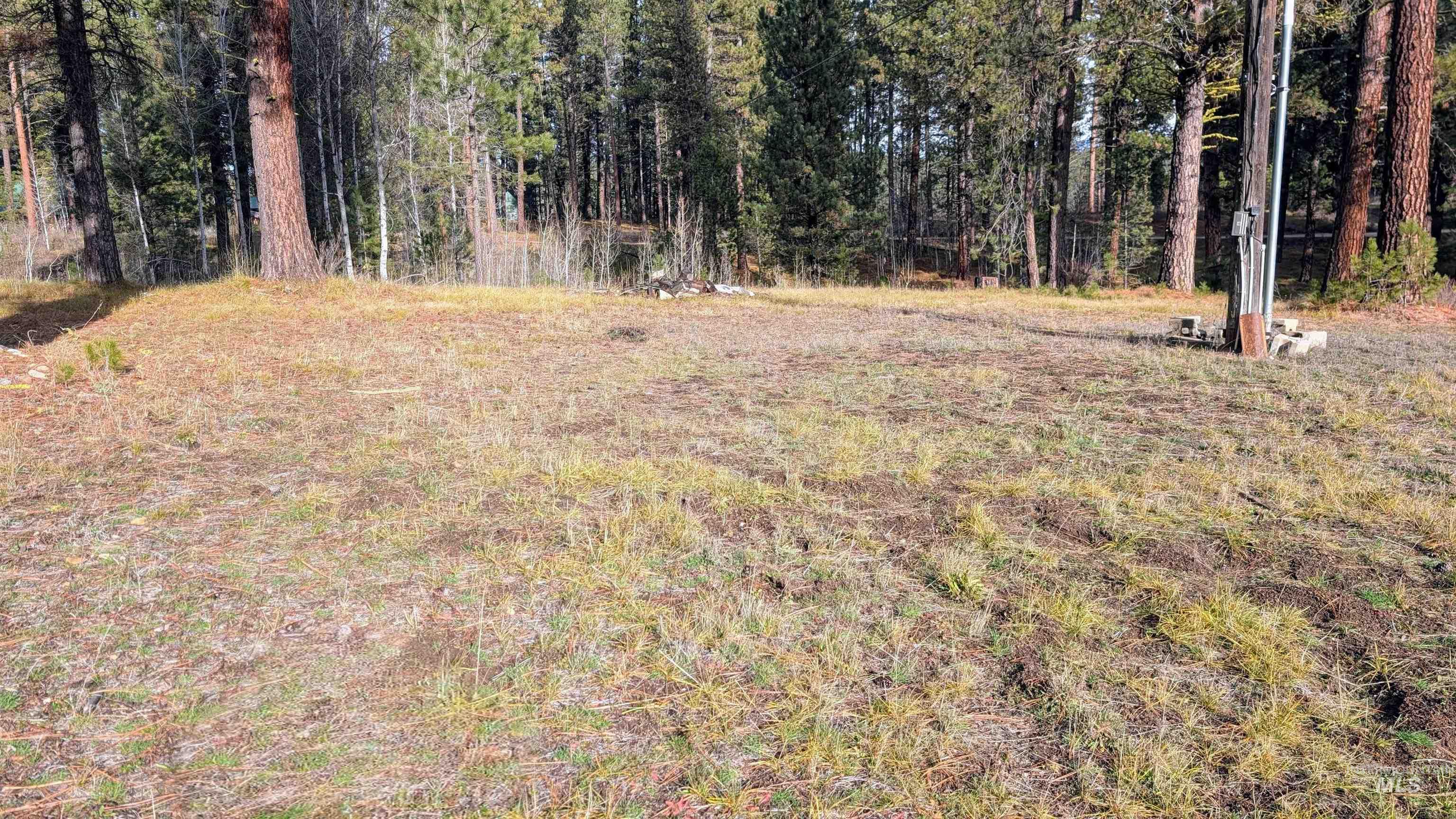 View of yard with a wooded view