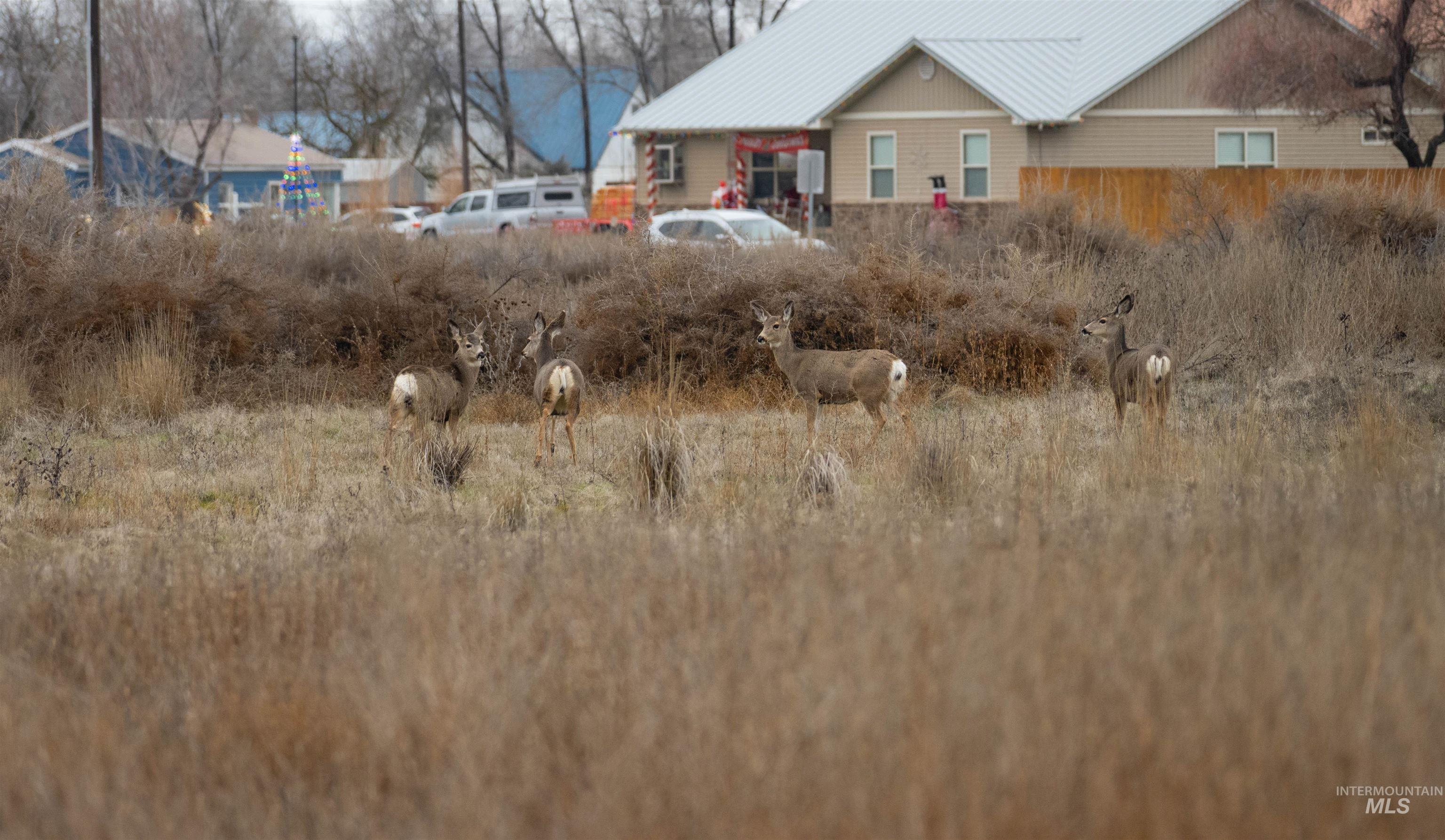 Exterior space with a metal roof