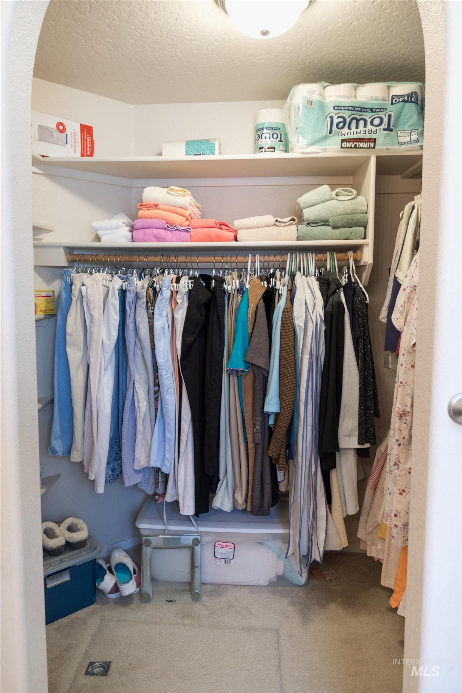 Spacious closet with carpet flooring