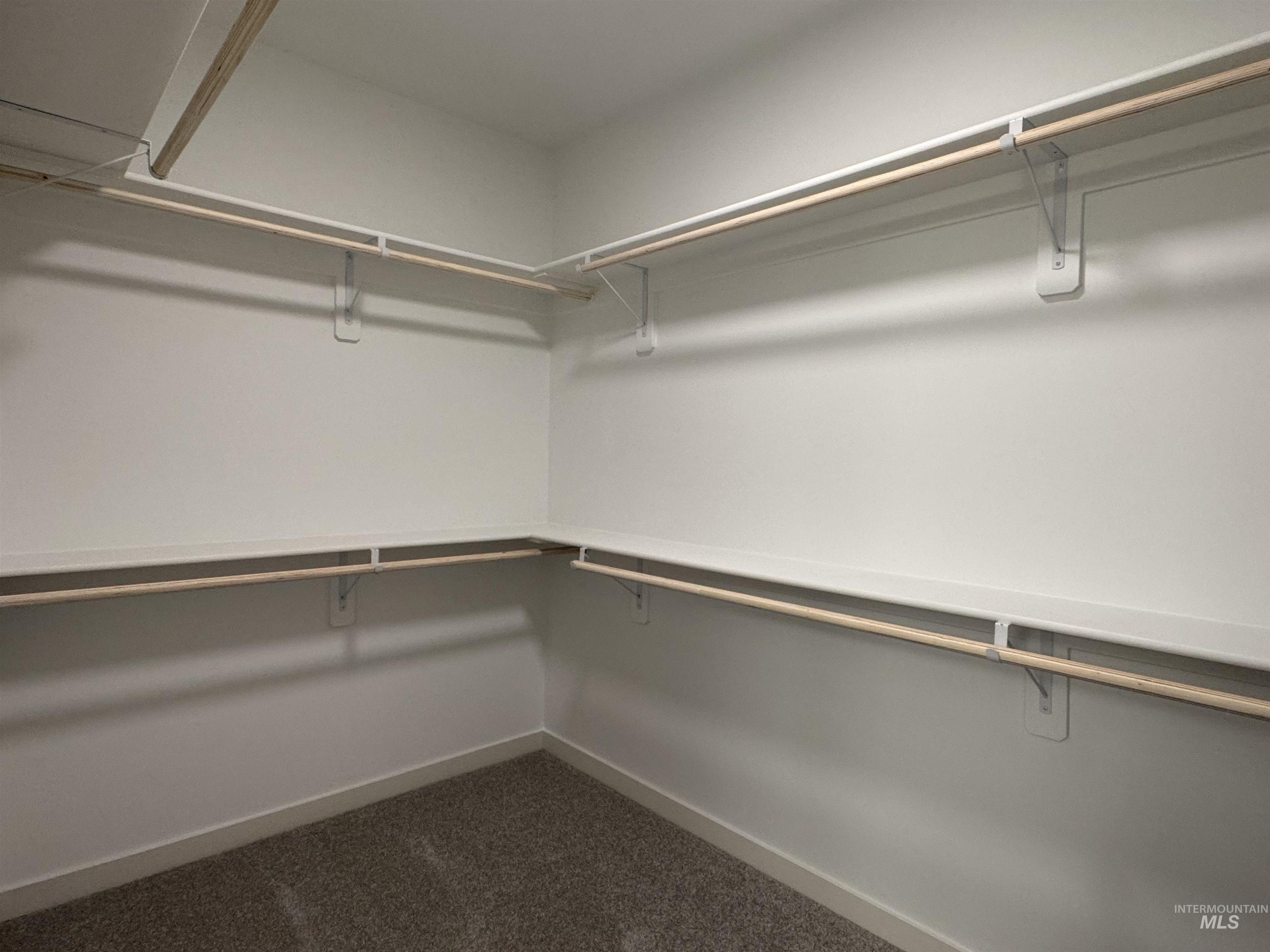 Spacious closet featuring dark colored carpet