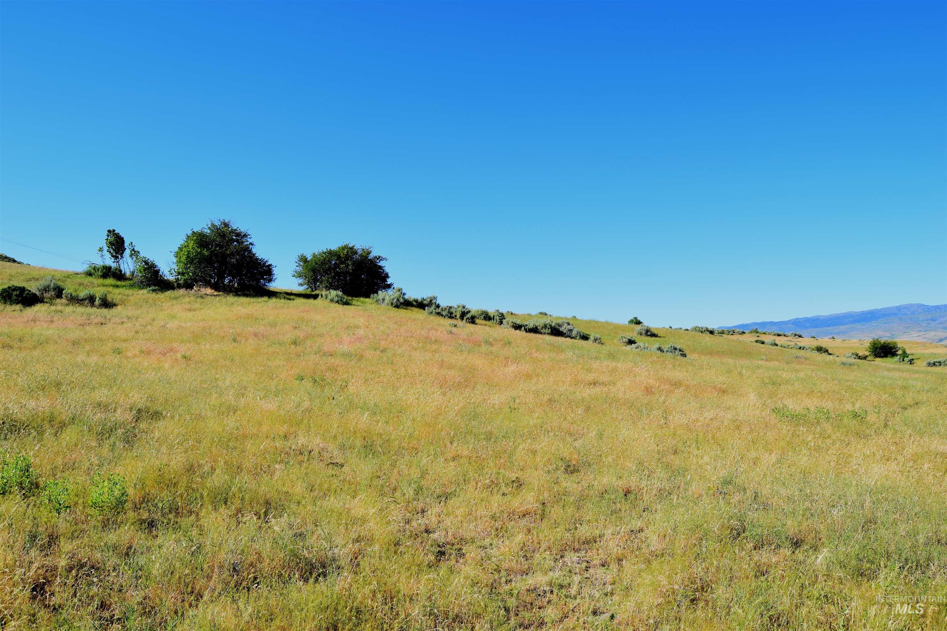 TBD Hwy 95, Indian Valley, Idaho 83632, Land For Sale, Price $880,000, 98970239