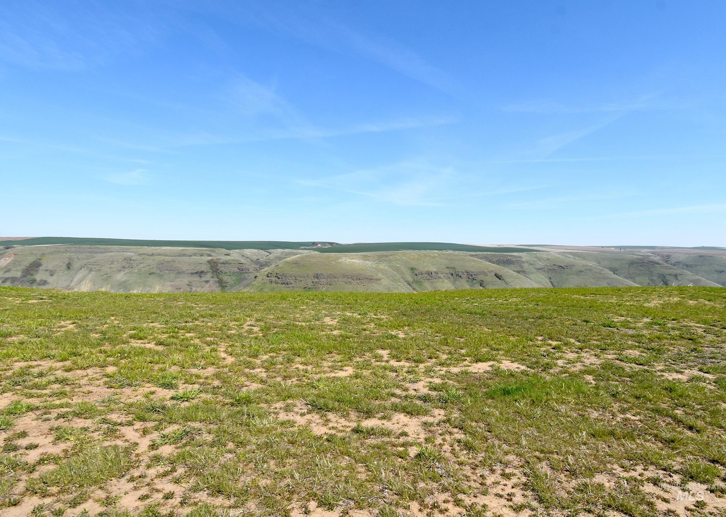 0 Spur Road, Lewiston, Idaho 83501, Land For Sale, Price $309,500, 98970242