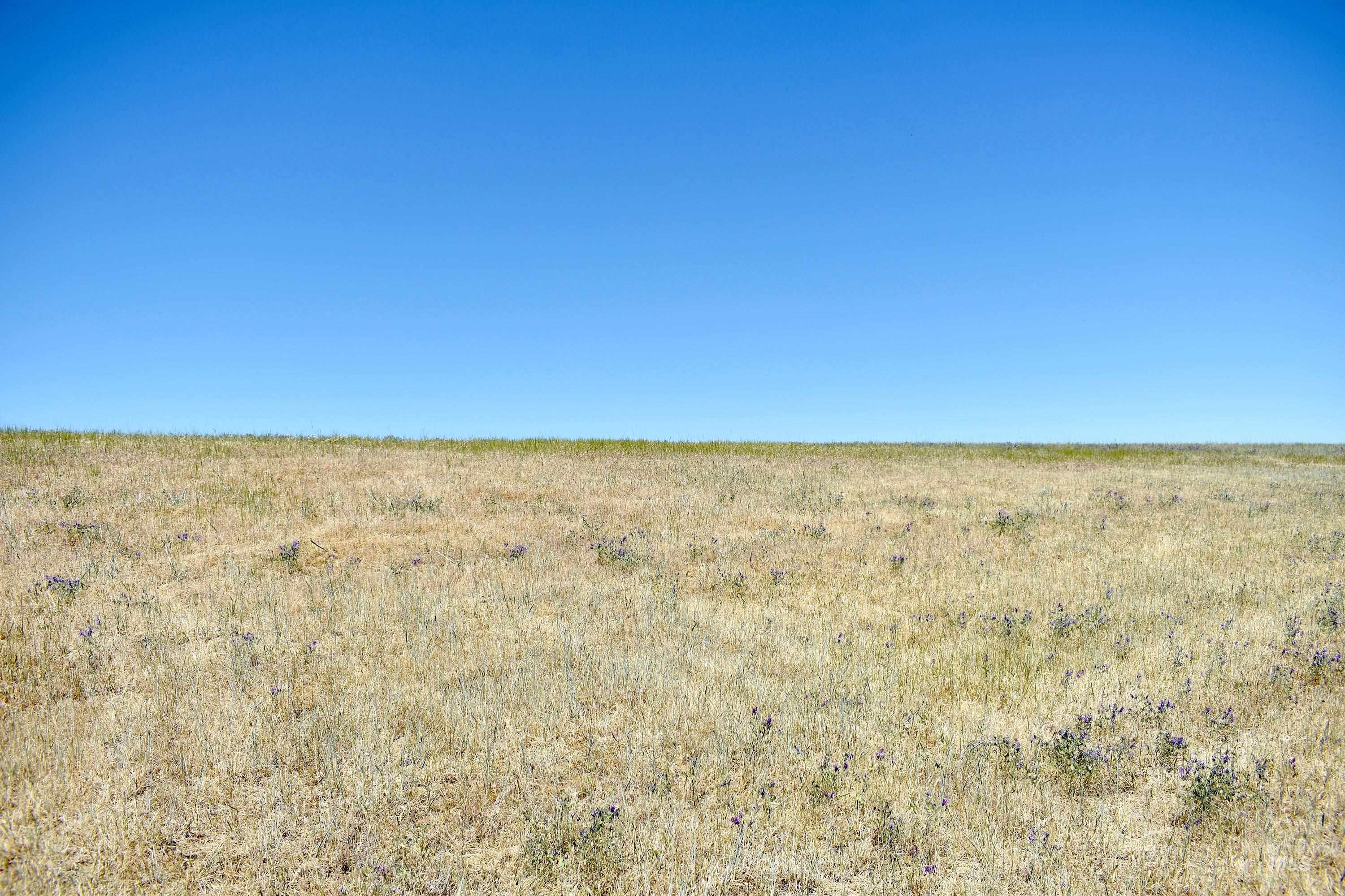 0 Spur Road, Lewiston, Idaho 83501, Land For Sale, Price $309,500, 98970242