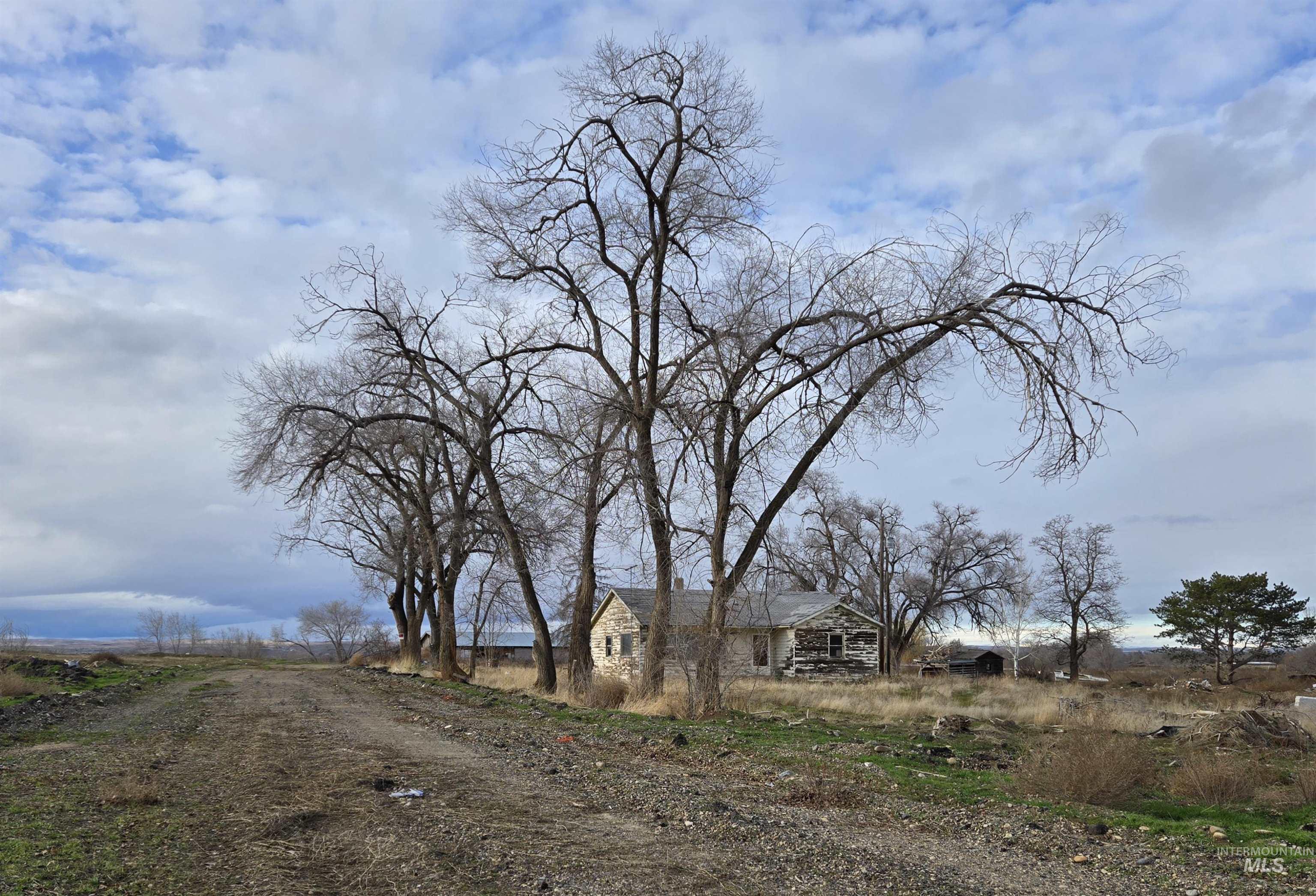 View of dirt / gravel road