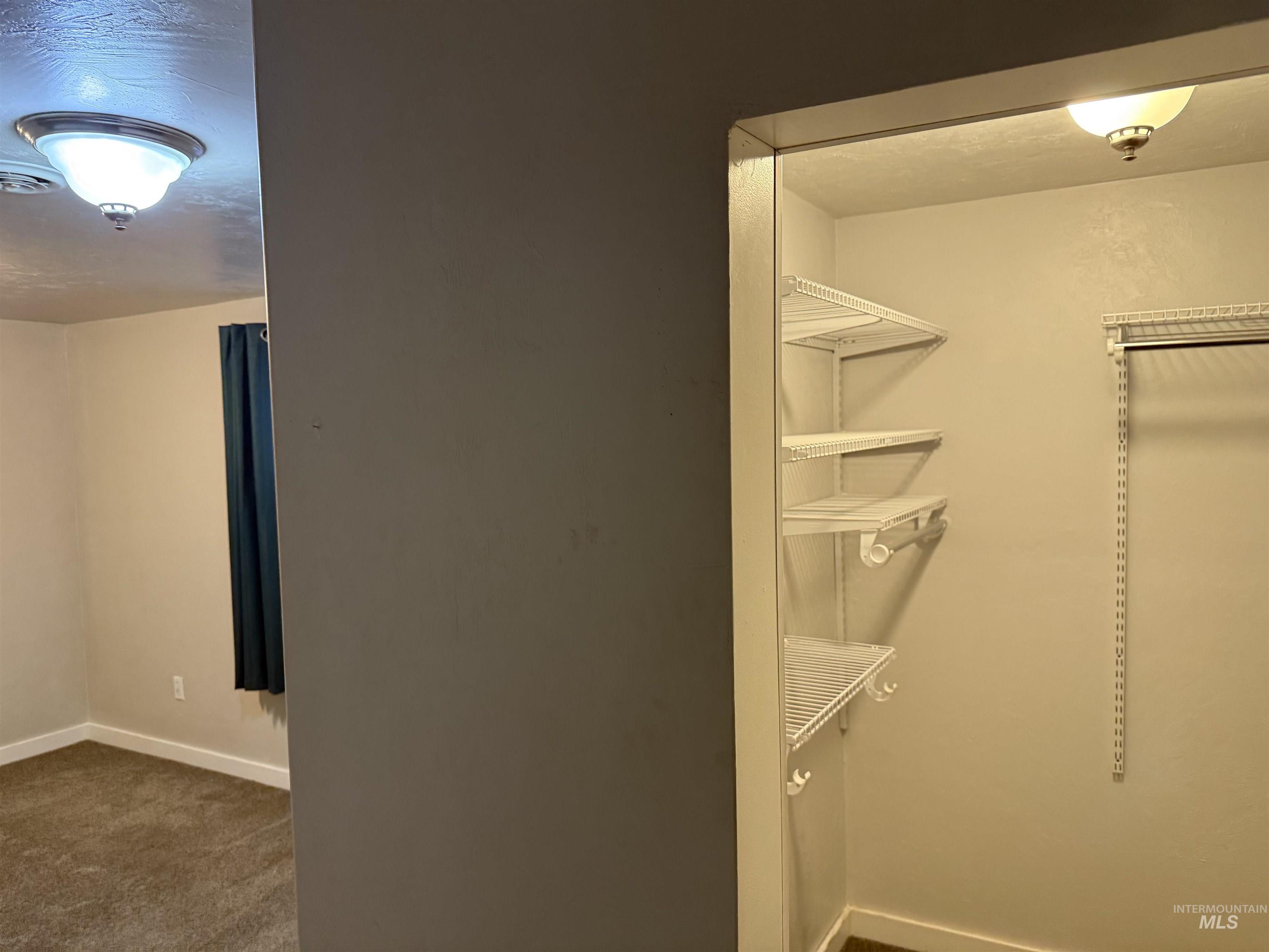 Walk in closet with dark colored carpet