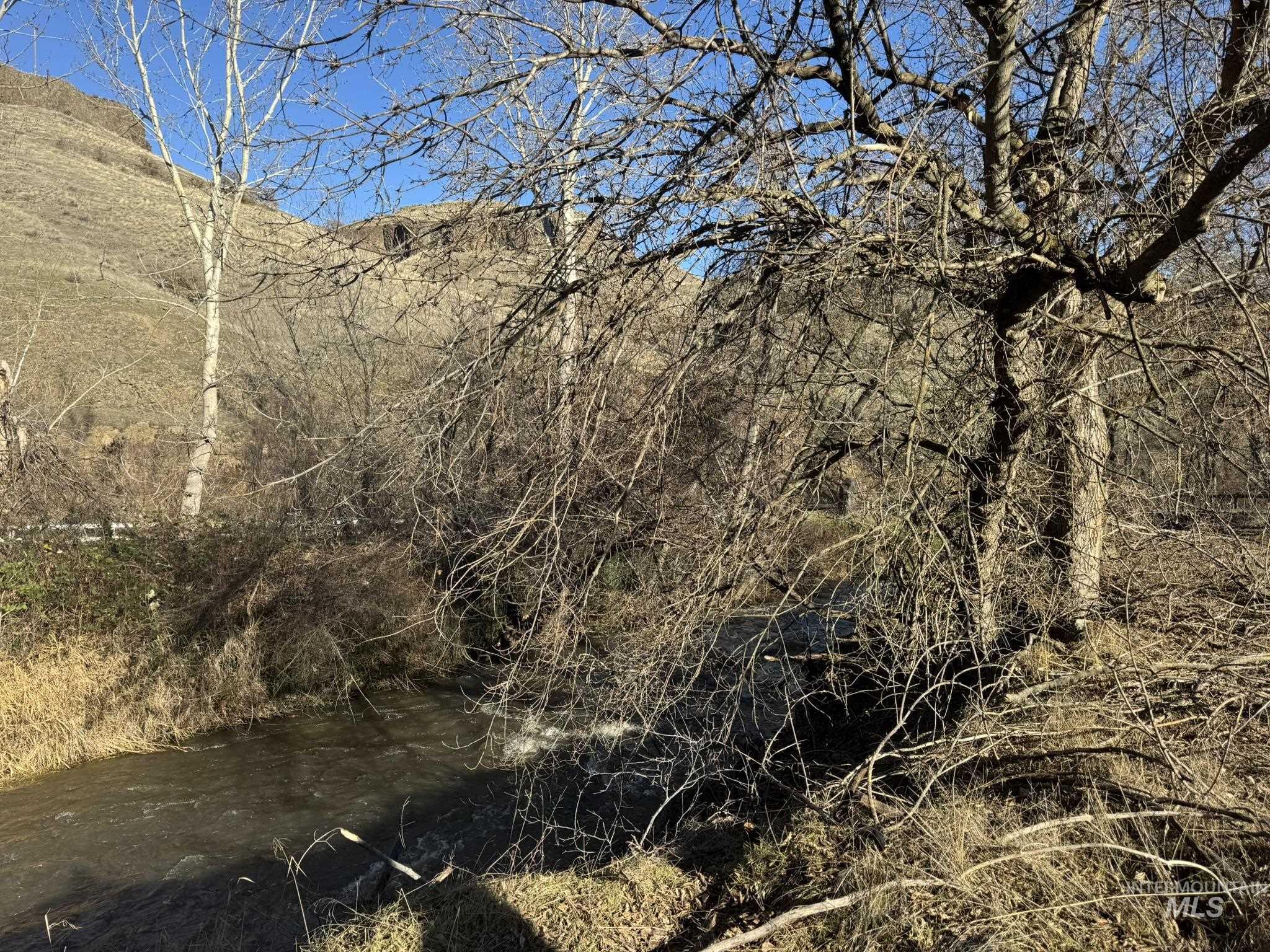 View of local wilderness with a water and mountain view