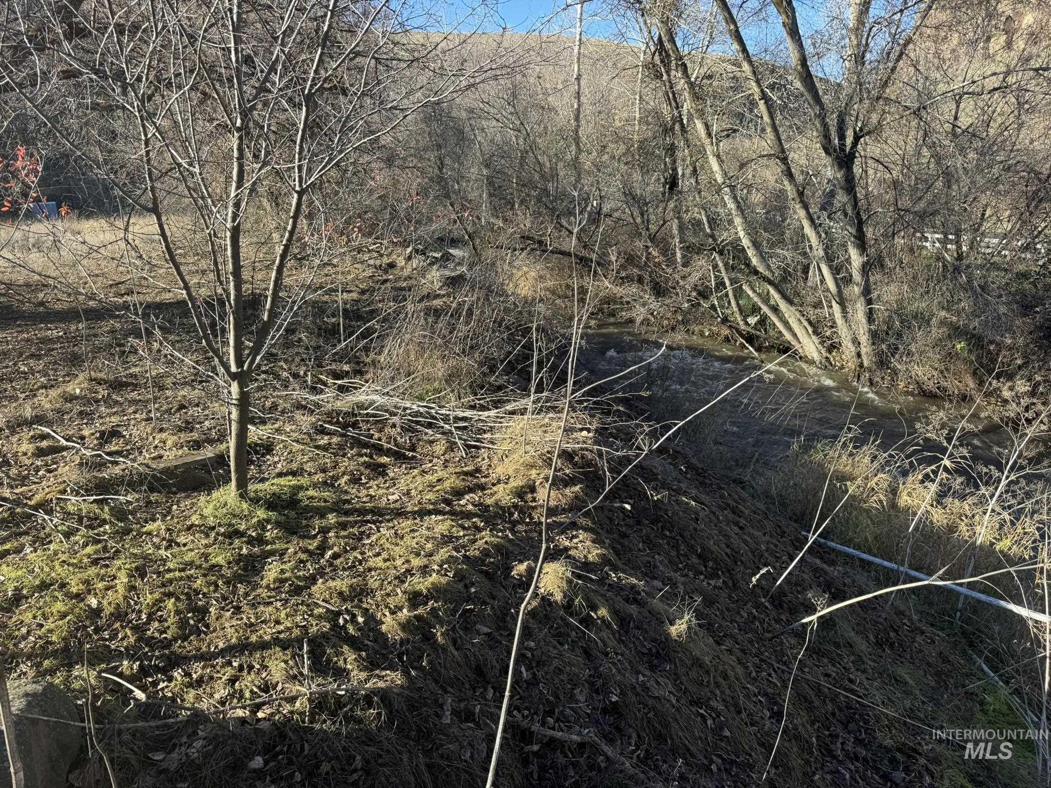 8047 Asotin Creek Road, Asotin, Washington 99402, Land For Sale, Price $162,000, 98970260