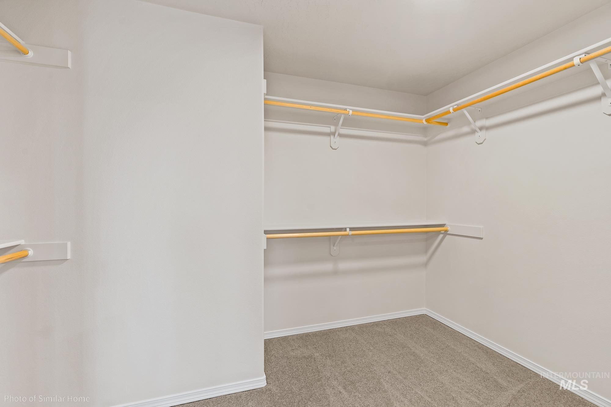 Spacious closet featuring light colored carpet