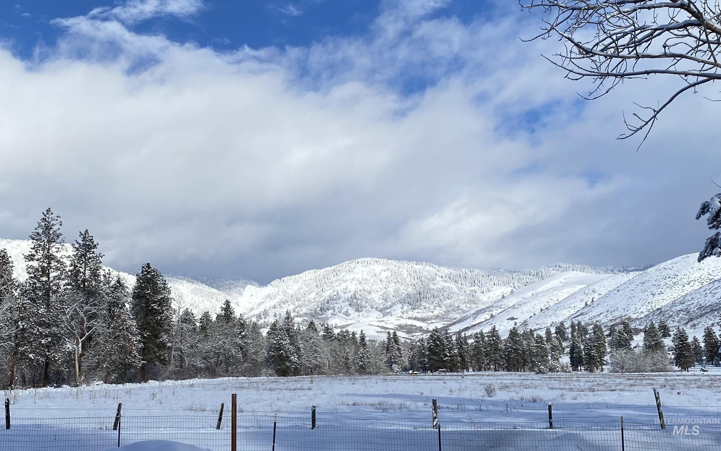View of mountain background featuring a heavily wooded area