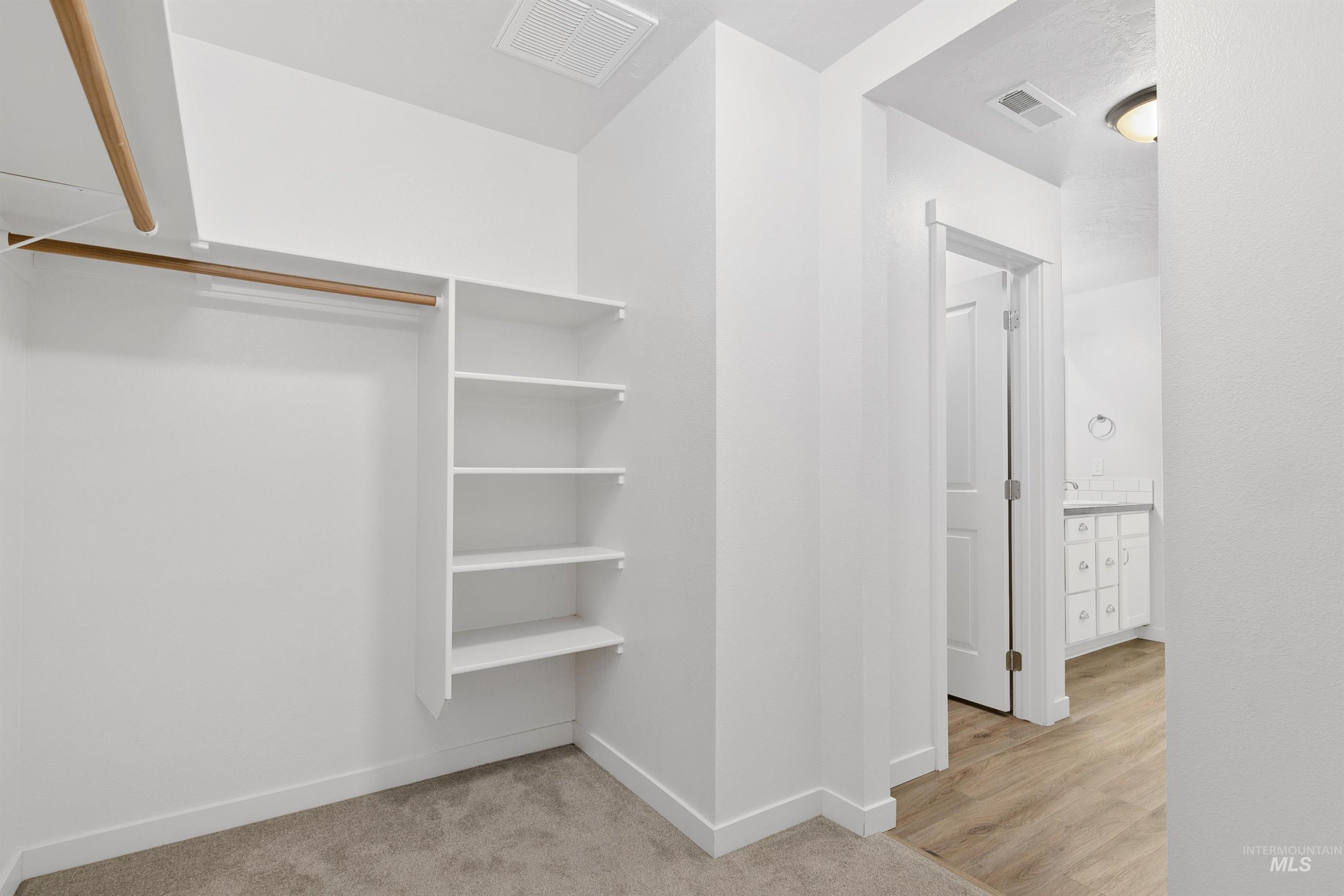 Walk in closet with light carpet