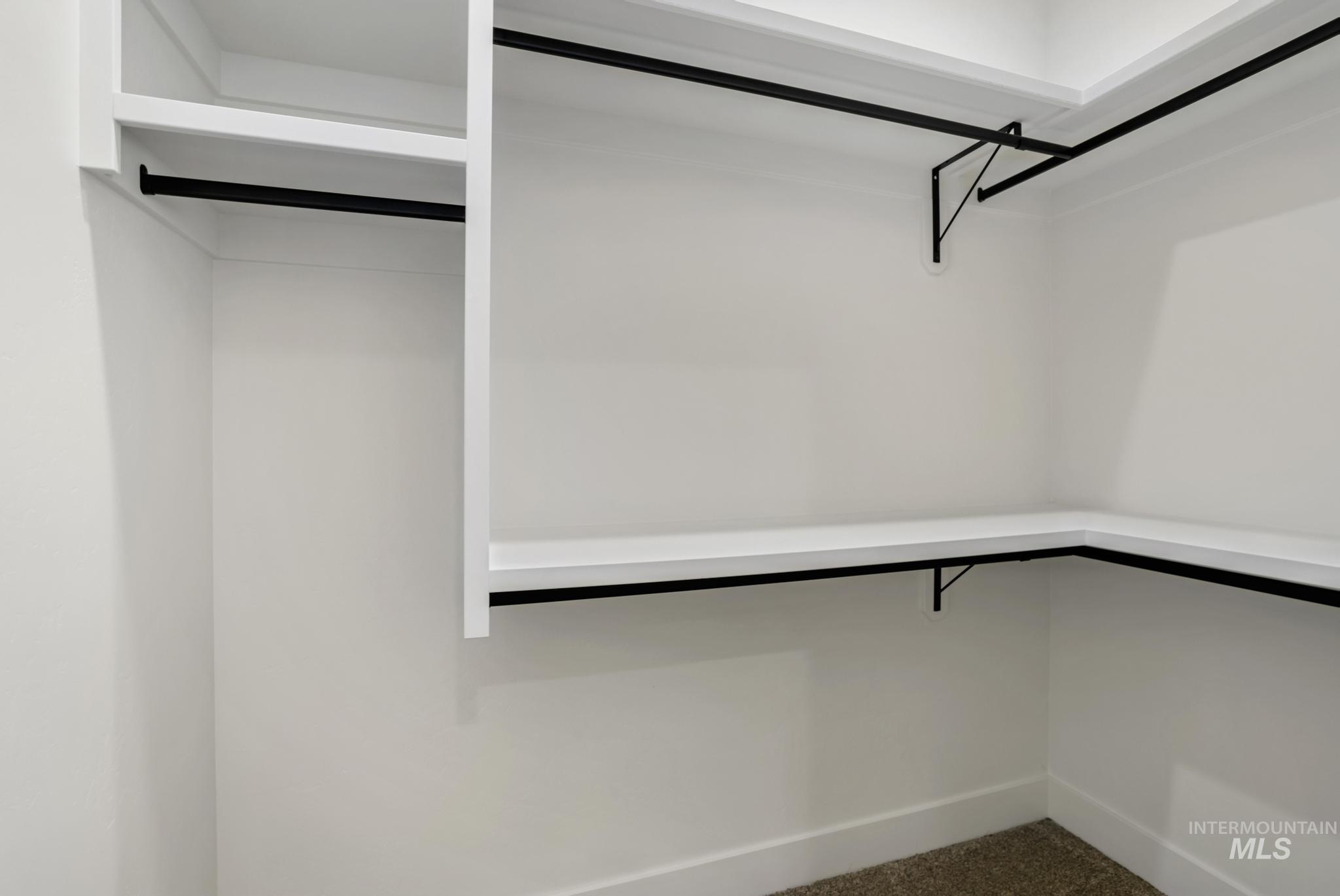 Spacious closet featuring carpet flooring