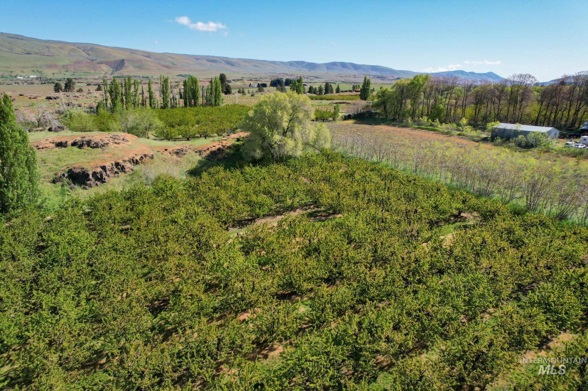 0 Garden Lane, Outside City Limits, Washington 98617, Farm & Ranch For Sale, Price $525,000,MLS 98970285