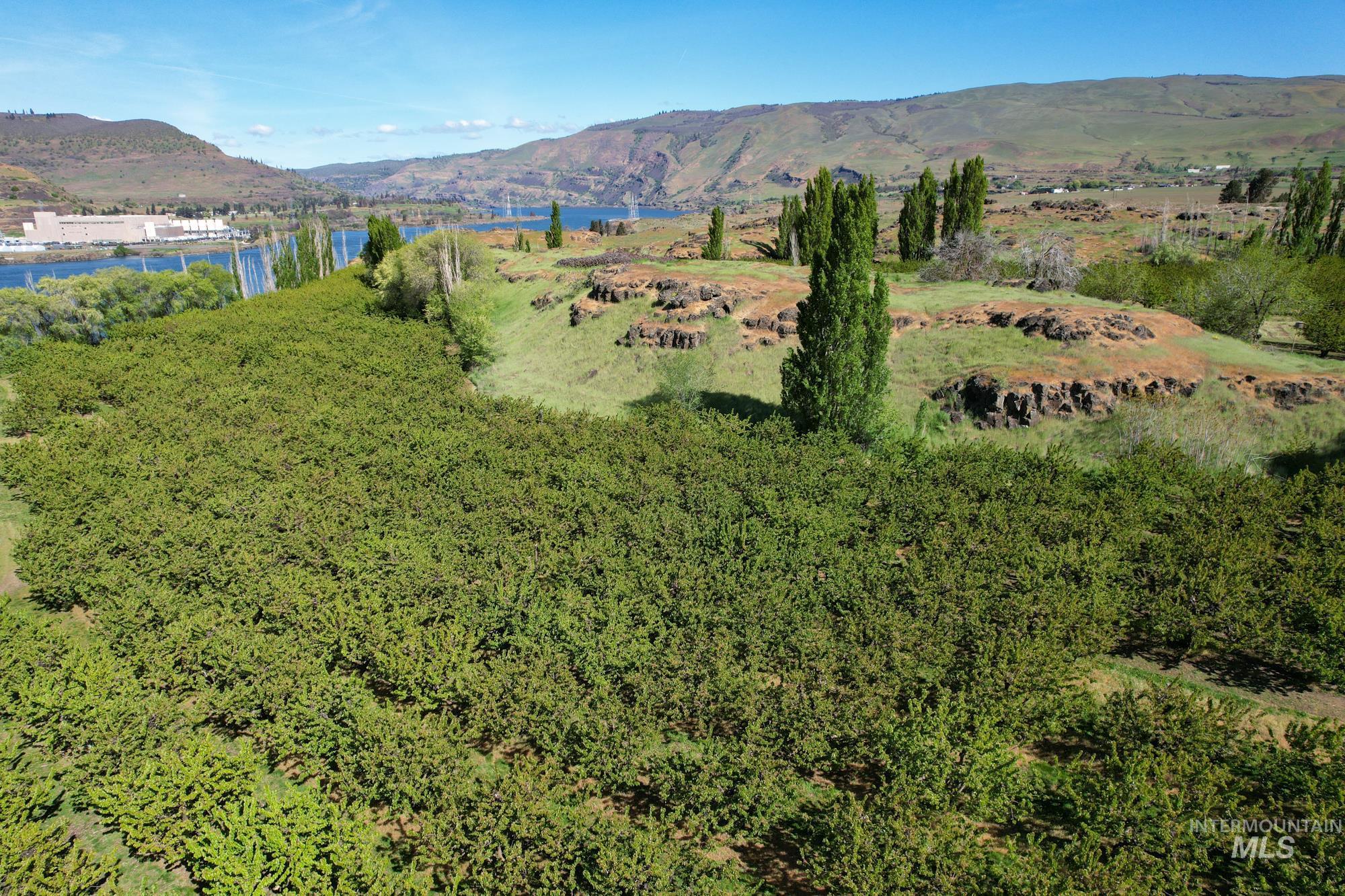 0 Garden Lane, Outside City Limits, Washington 98617, Farm & Ranch For Sale, Price $525,000,MLS 98970285