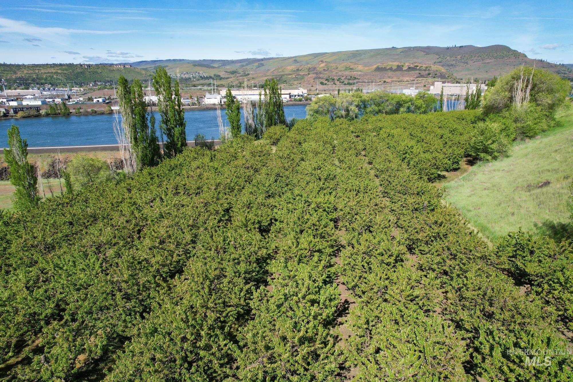 0 Garden Lane, Outside City Limits, Washington 98617, Farm & Ranch For Sale, Price $525,000,MLS 98970285