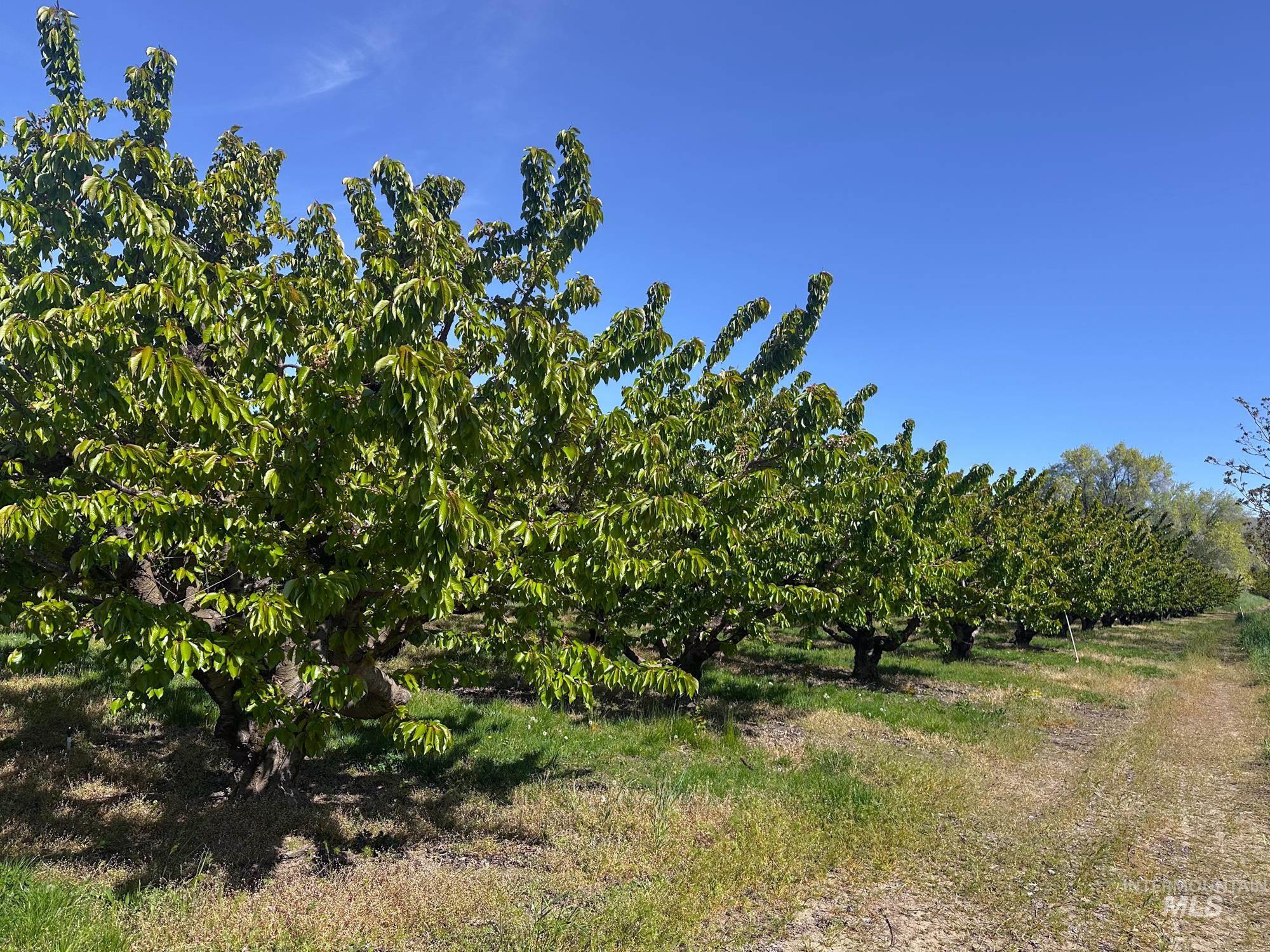 0 Garden Lane, Outside City Limits, Washington 98617, Farm & Ranch For Sale, Price $525,000,MLS 98970285