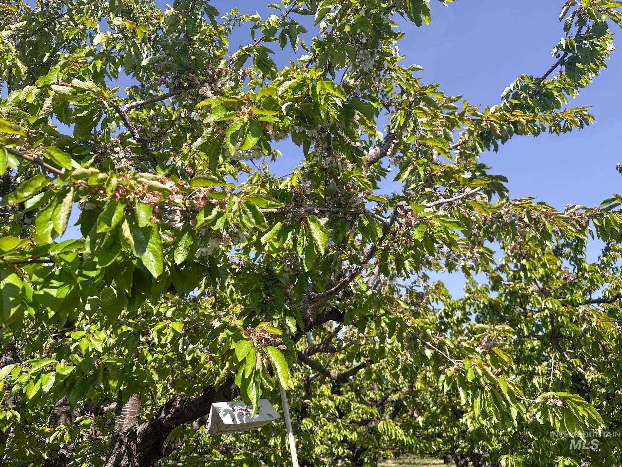 0 Garden Lane, Outside City Limits, Washington 98617, Farm & Ranch For Sale, Price $525,000,MLS 98970285